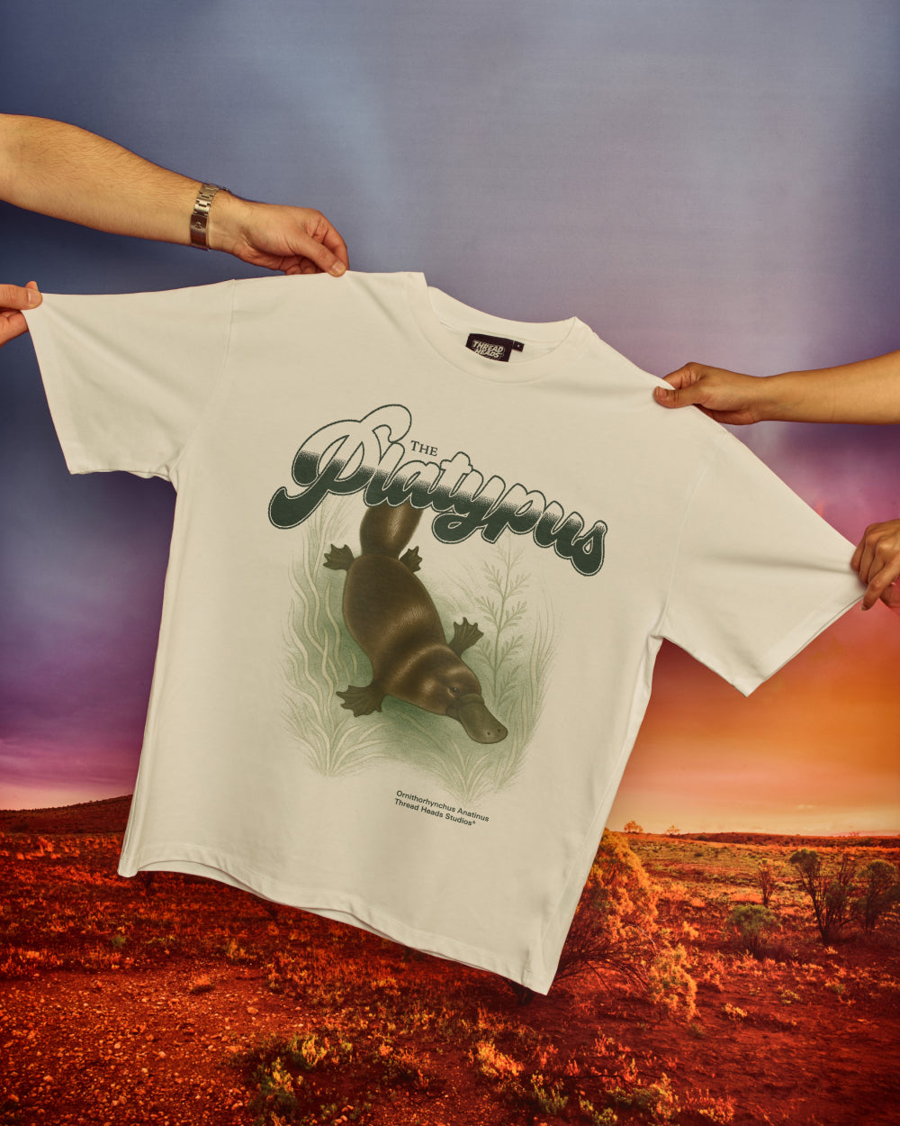 Platypus Oversized Tee Online Australia