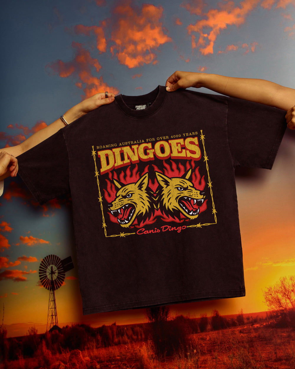 Territory Dingoes Wash Tee