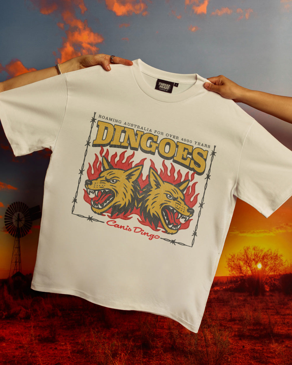 Territory Dingoes Oversized Tee