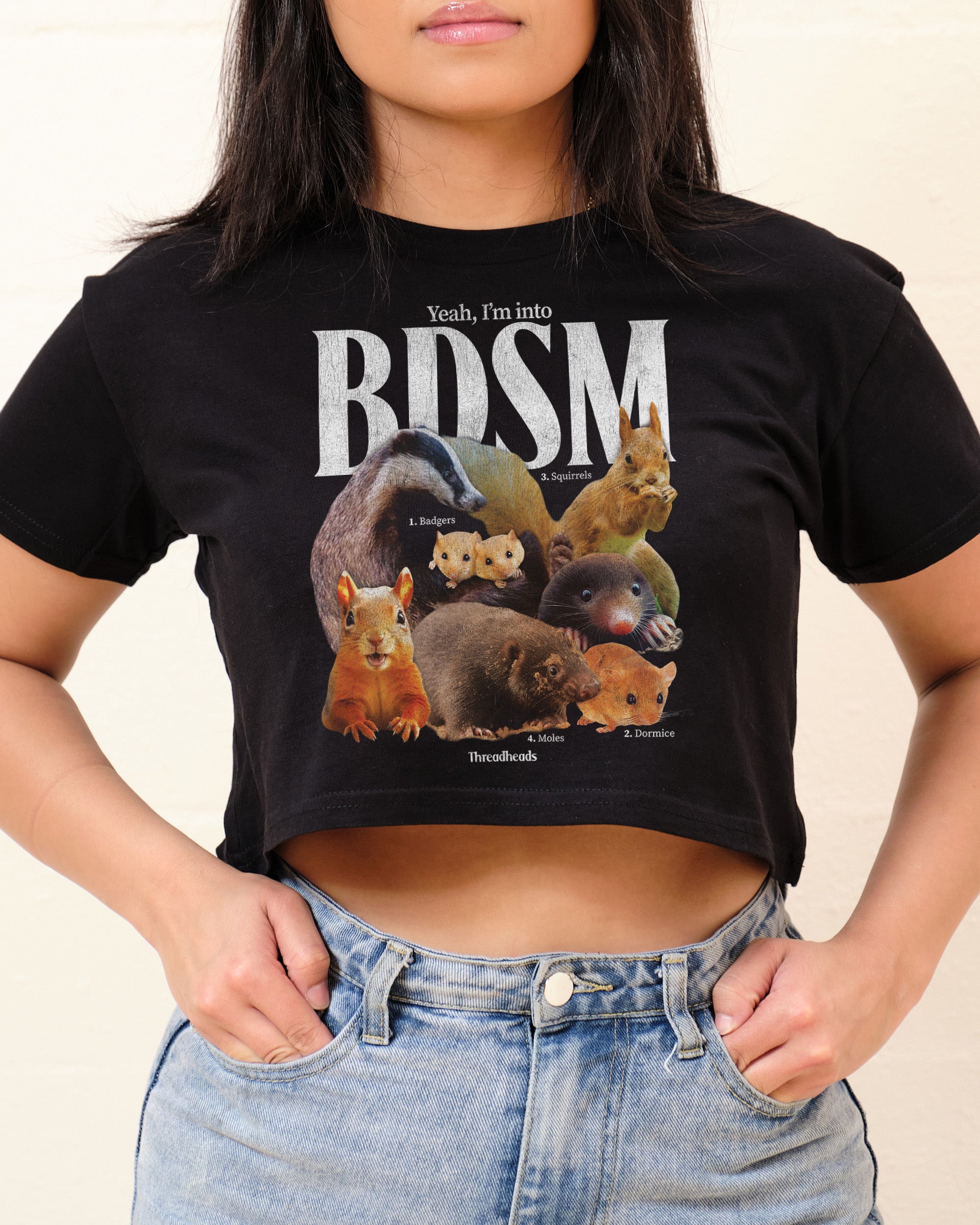 BDSM Crop Tee | Funny Oversized Tee