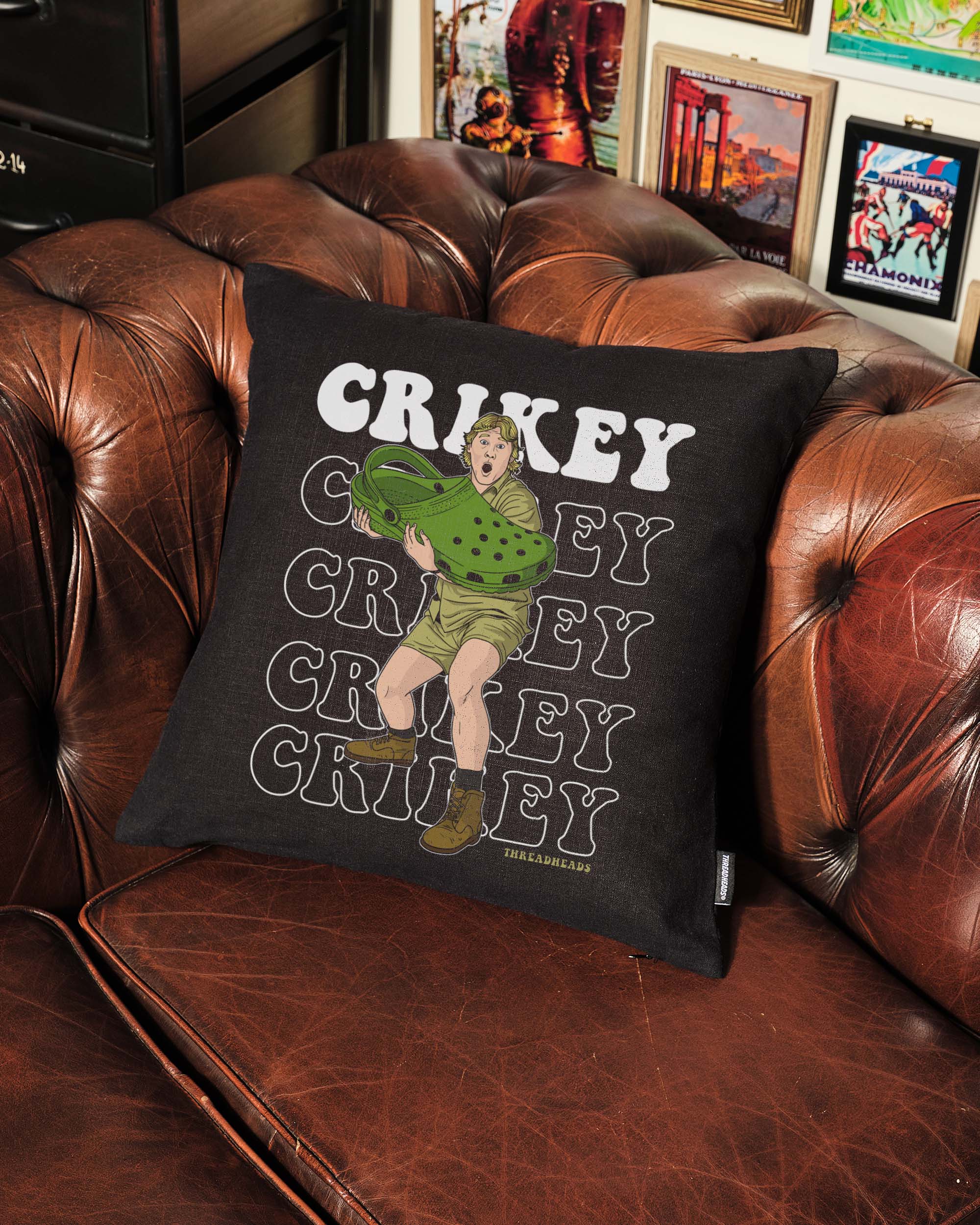 Crikey Cushion