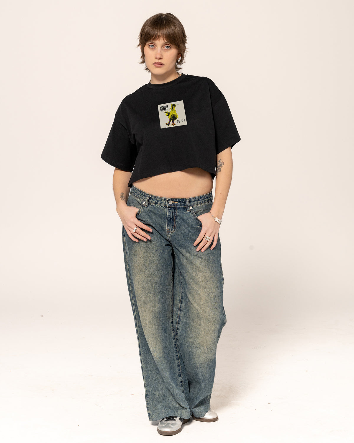 Big Bird Underground Crop Tee