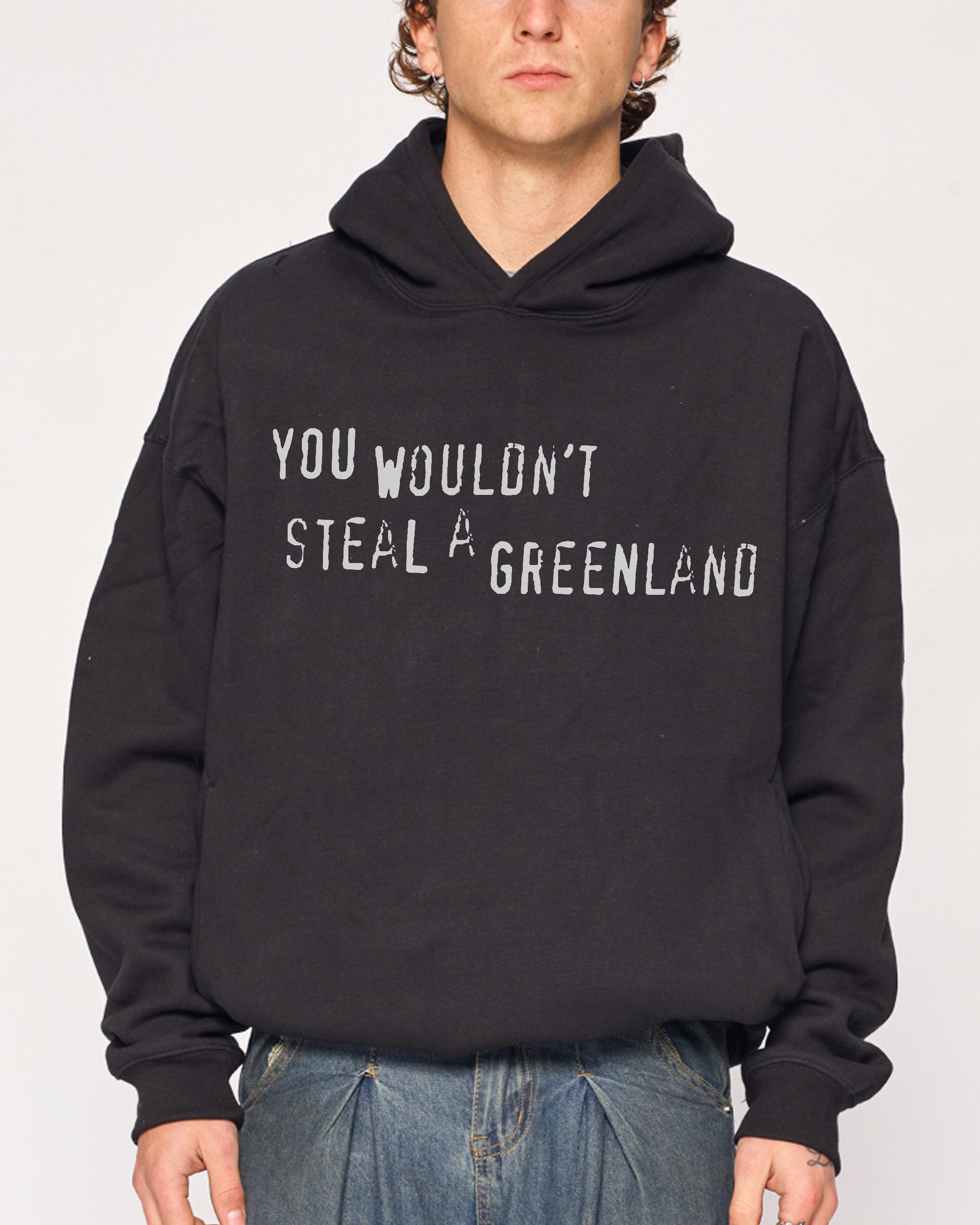 You Would’t Steal A Greenland Black Hoodie