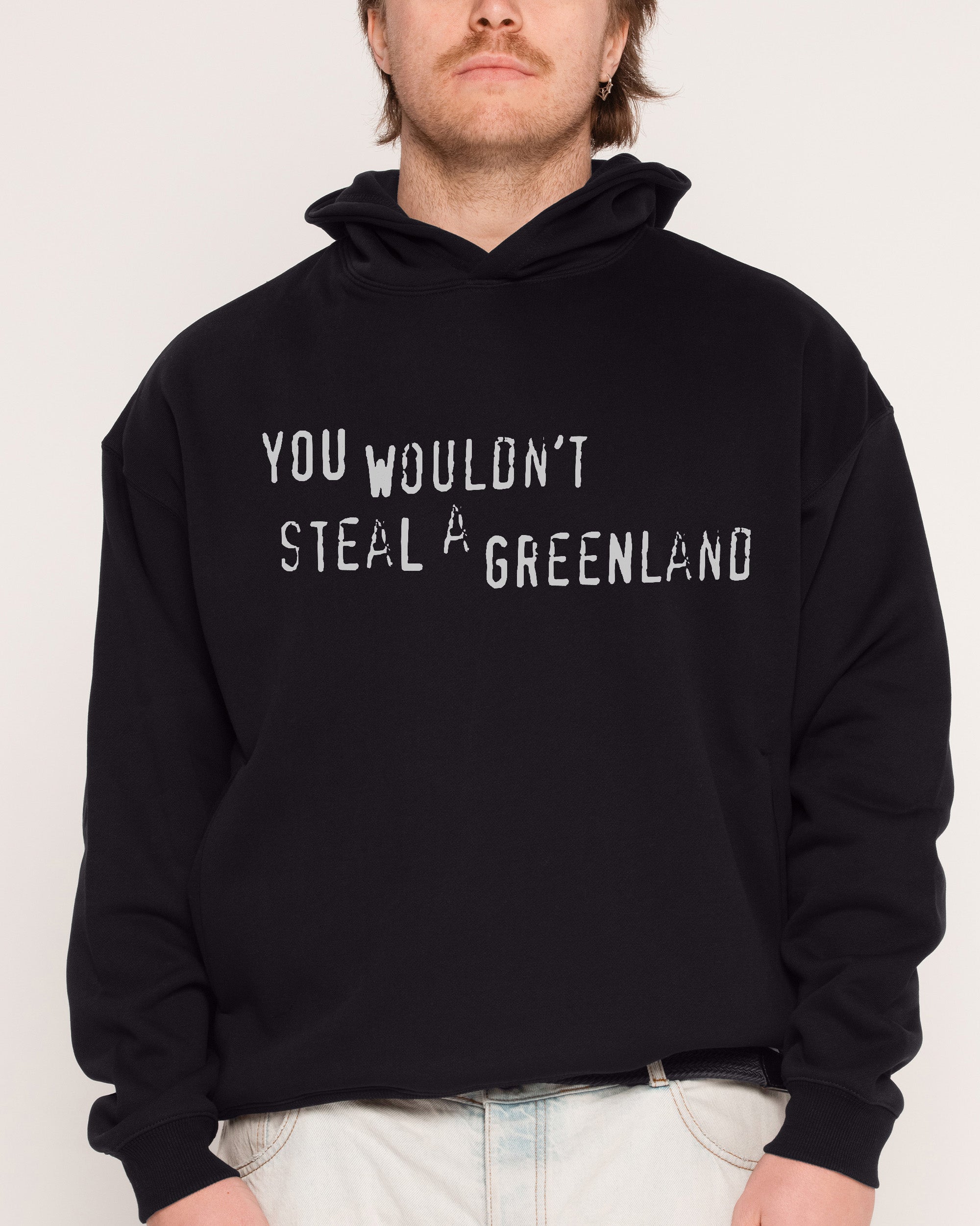 You Would’t Steal A Greenland Black Hoodie
