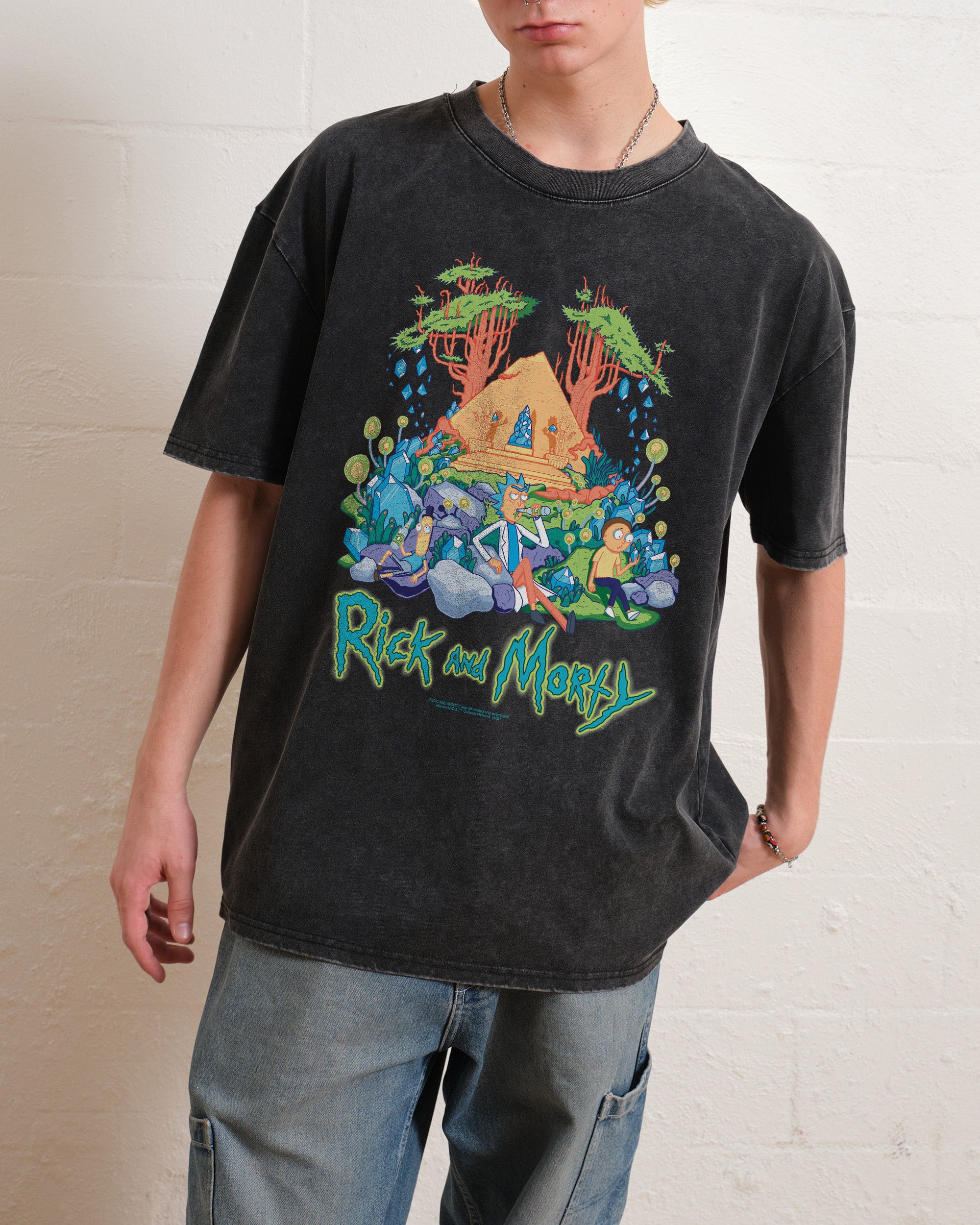 Rick and Morty Rest and Relaxation Wash Tee Australia Online