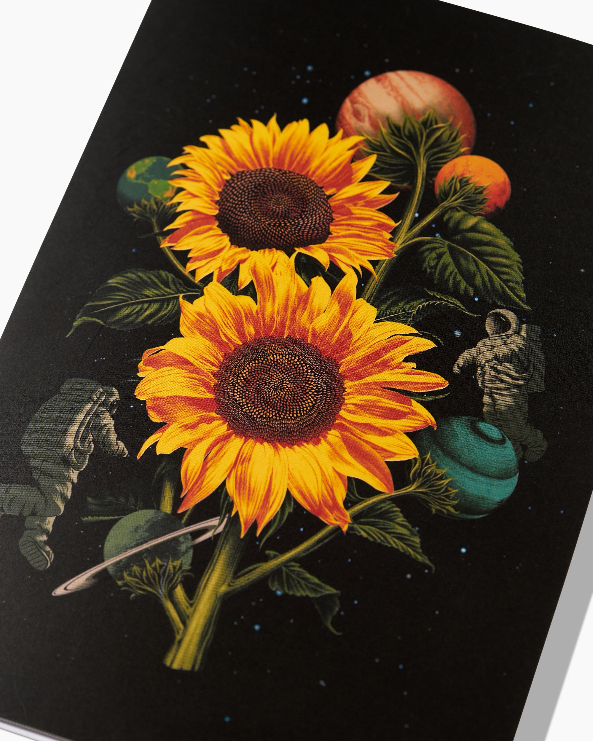 Sun Flowers Greeting Card Australia Online