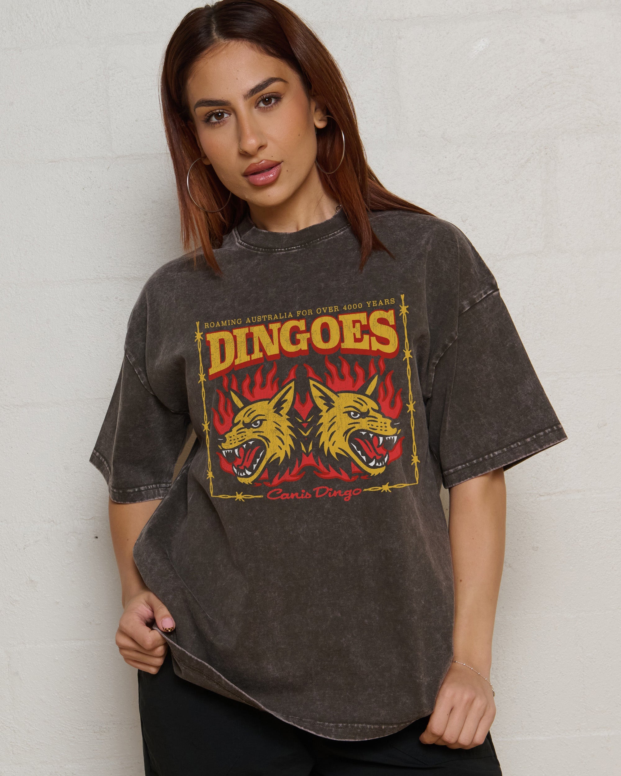 Territory Dingoes Wash Tee