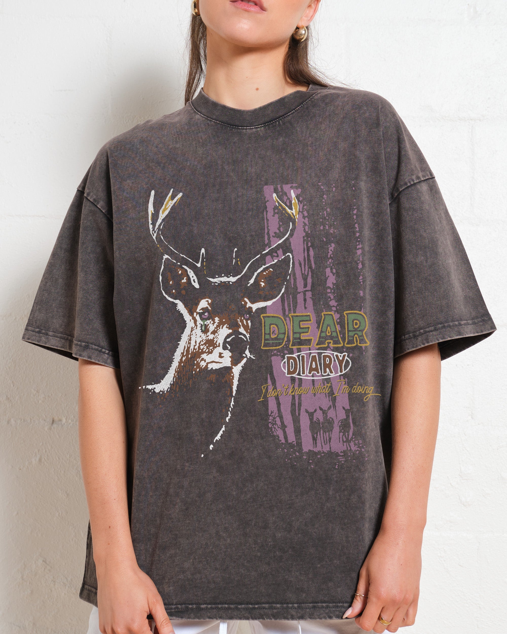 Dear Diary Wash Tee Online Australia