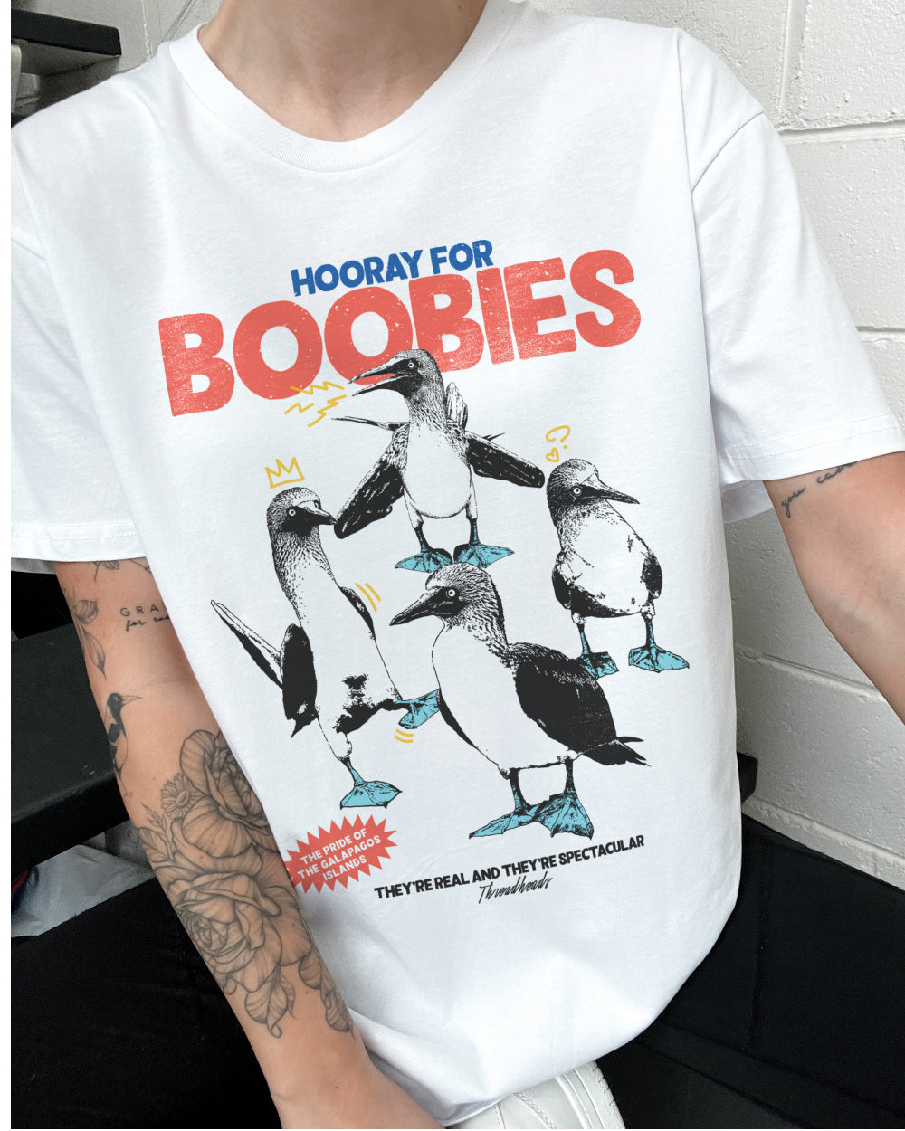 Hooray for Boobies T-Shirt, Funny Graphic T-Shirt