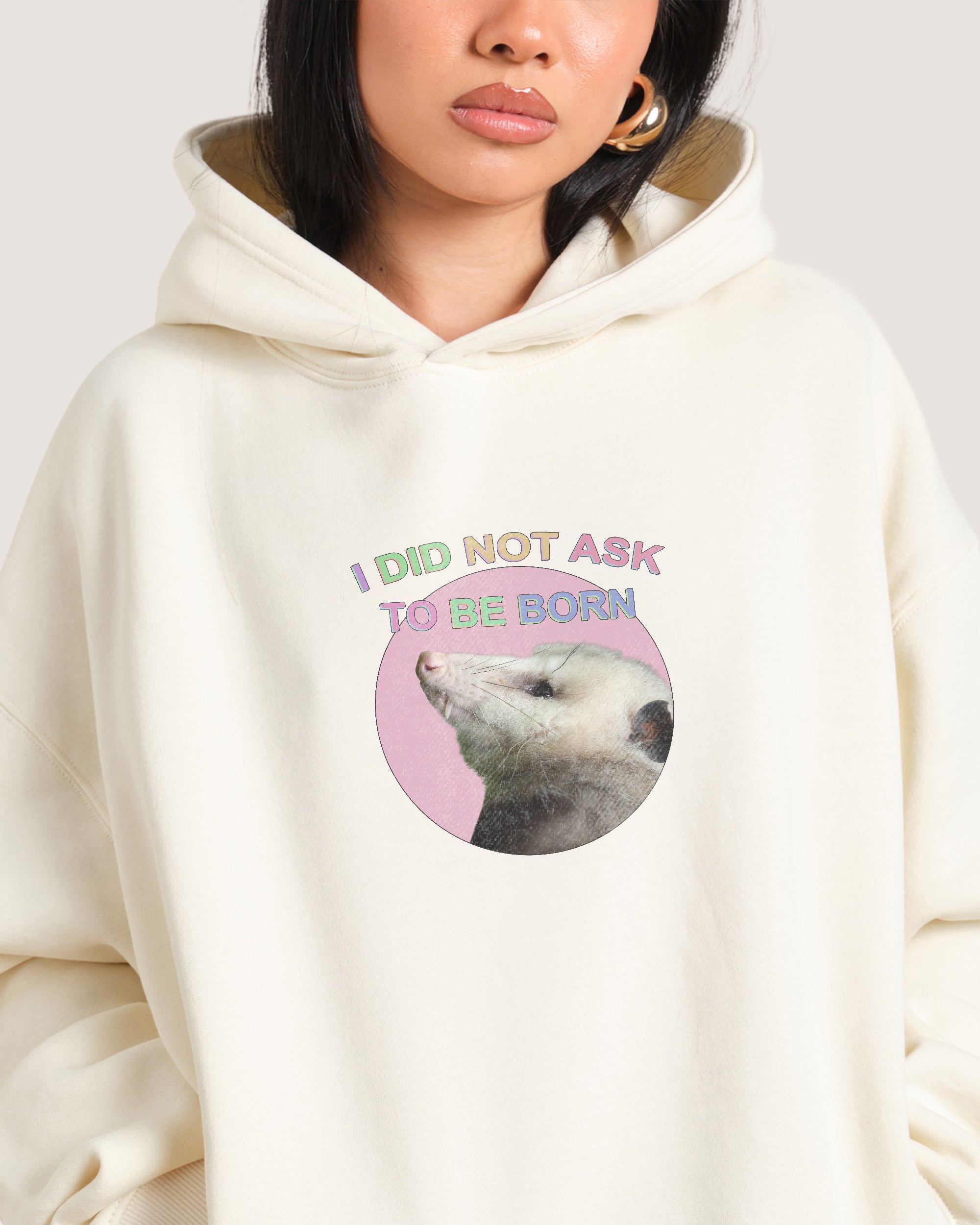 I Did Not Ask Natural Hoodie