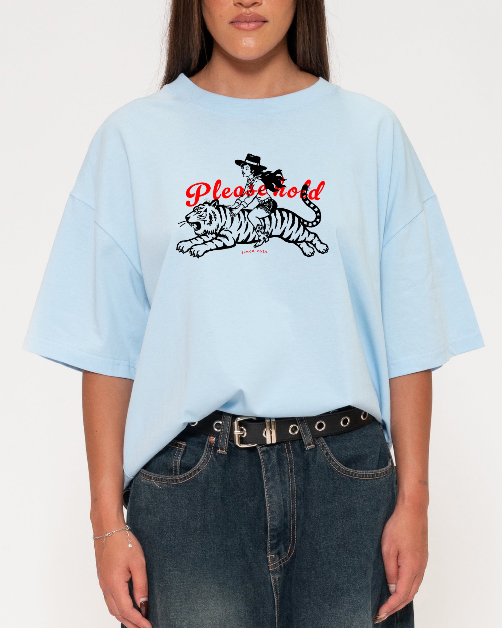 Please Hold Hell Cat Blue Boxy Crop Tee
