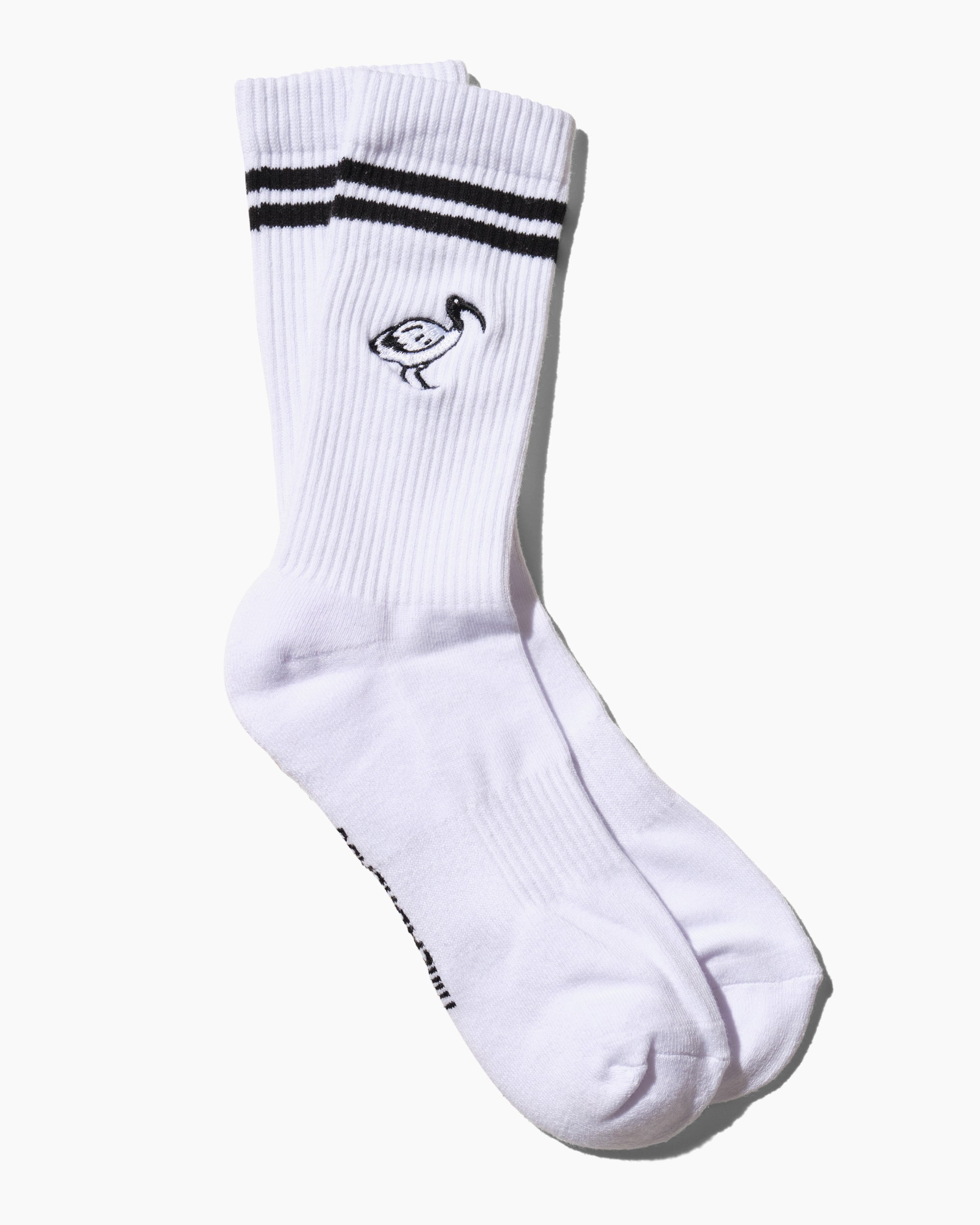 Bin Chicken Collegiate Socks Australia Online
