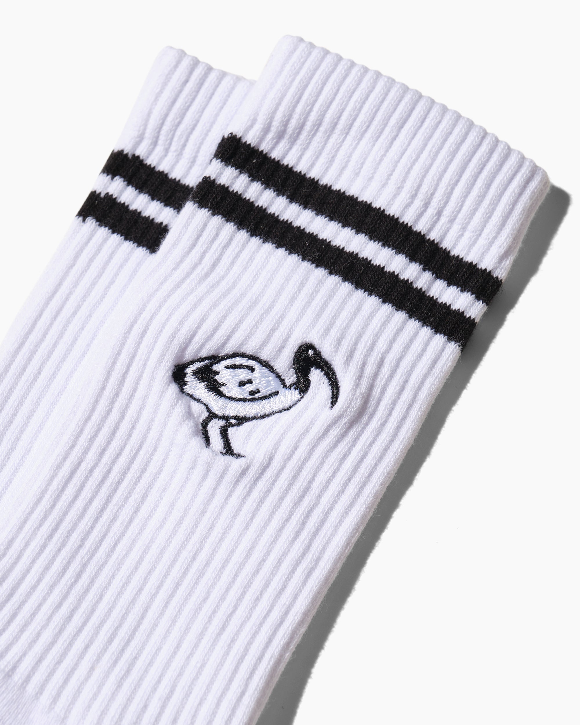 Bin Chicken Collegiate Socks Australia Online
