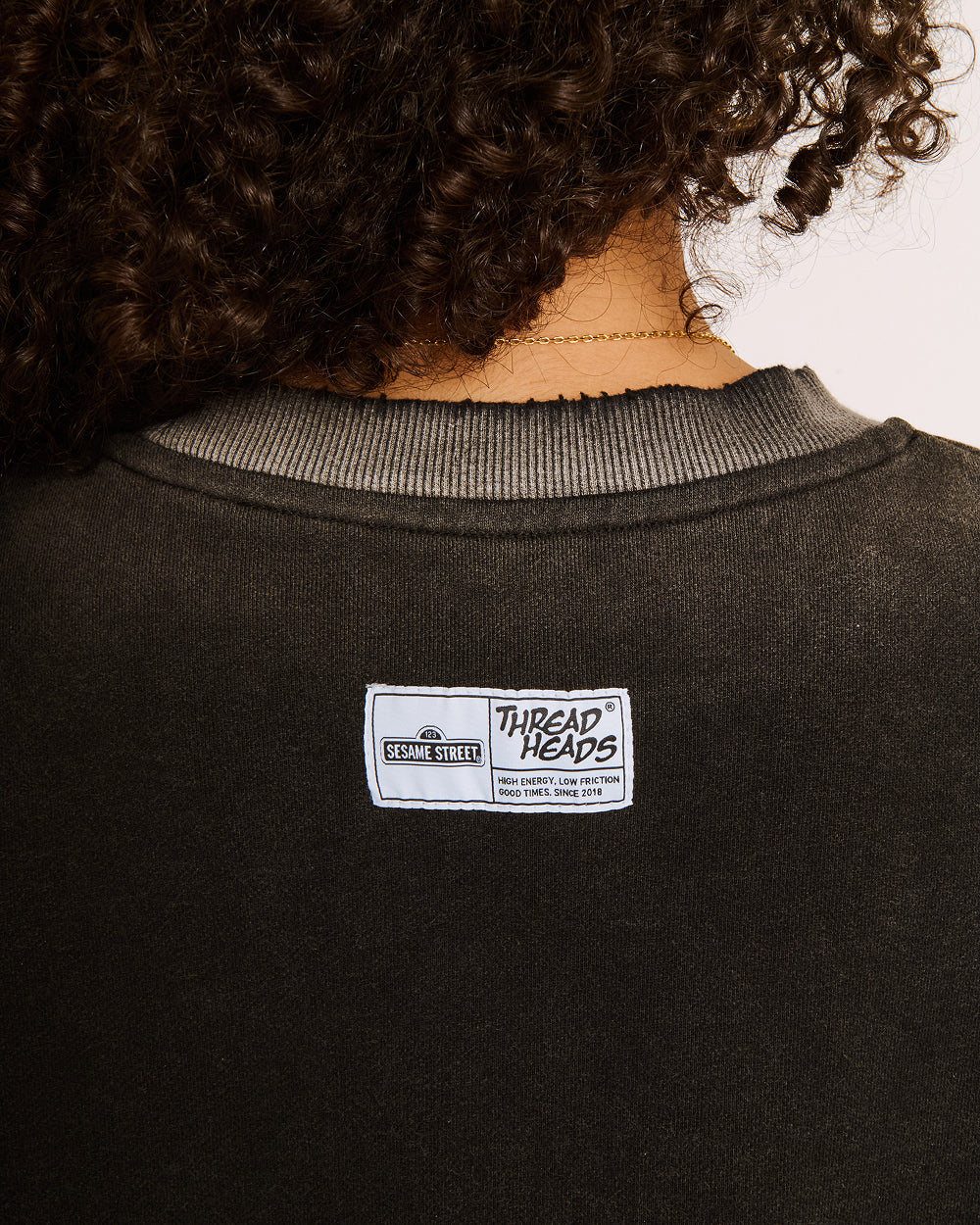 Bert and Ernie Street Patrol Sweatshirt