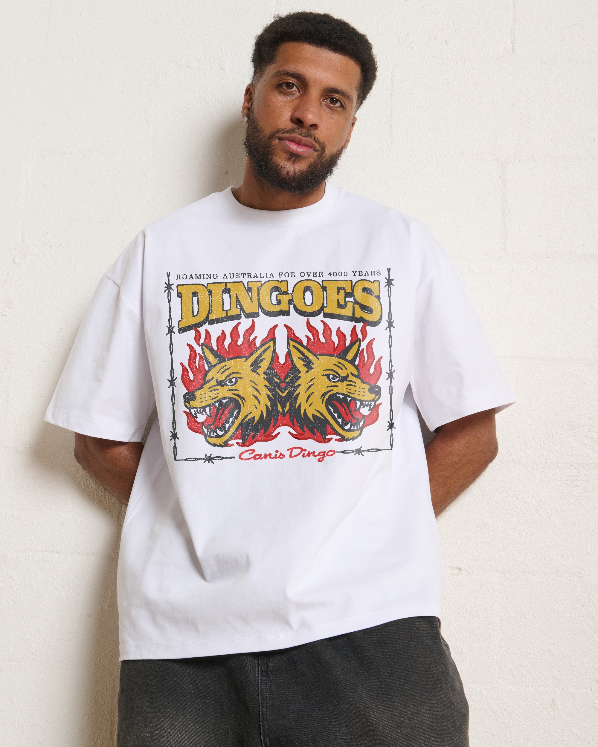 Territory Dingoes Oversized Tee