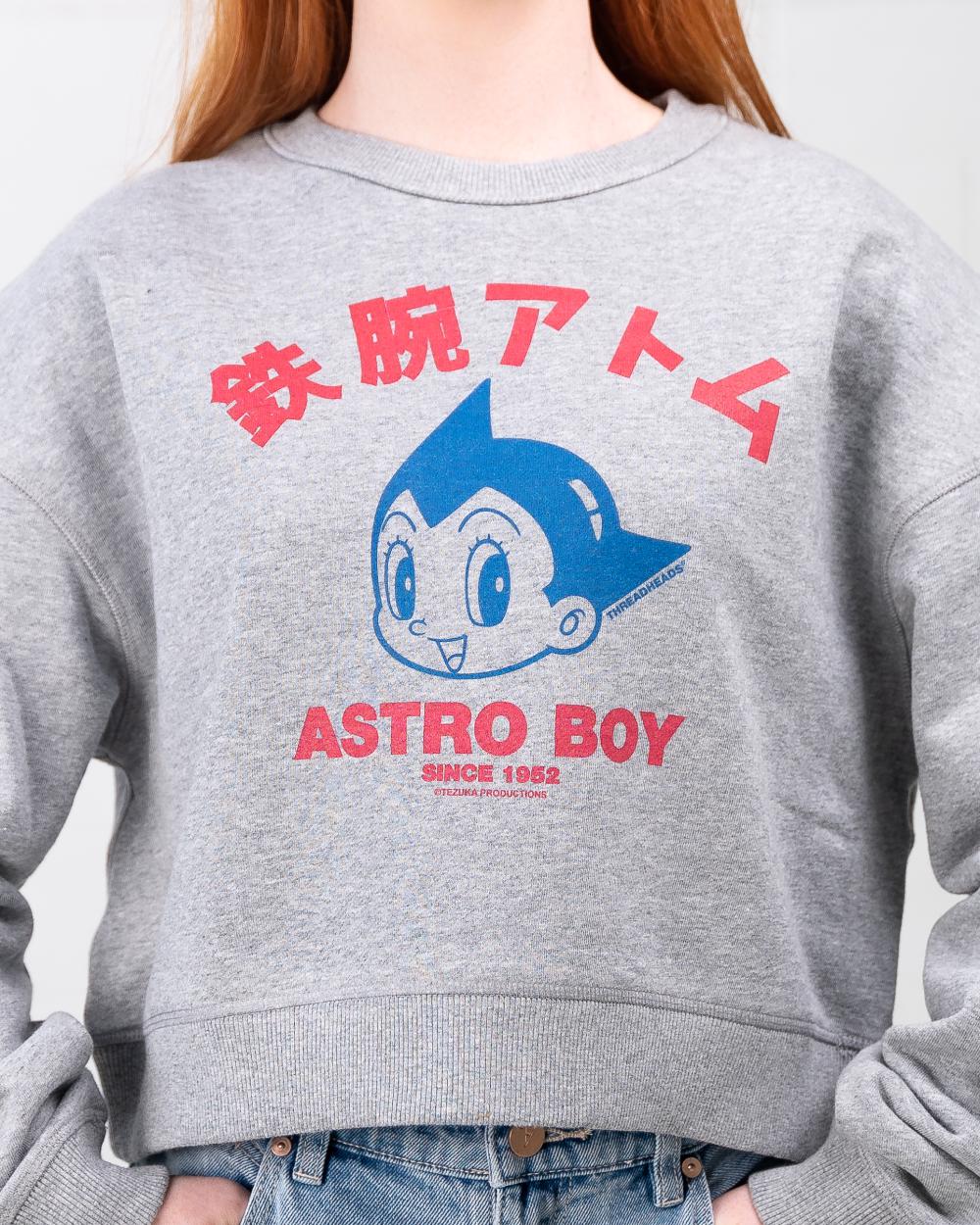 Astro Boy Face Crop Sweater Australia Online #colour_grey
