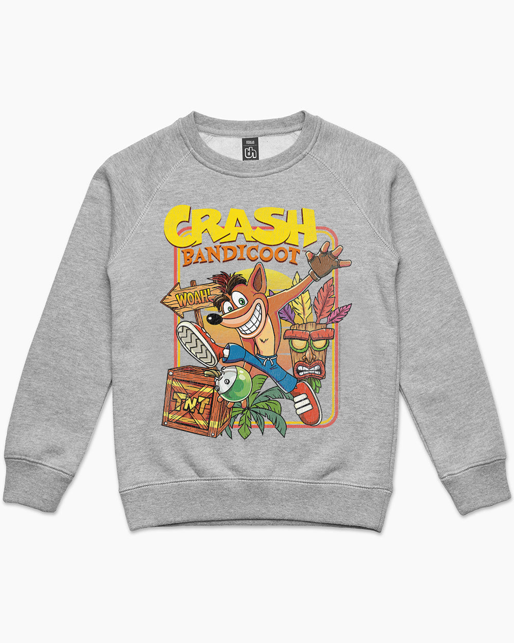 Crash 2025 bandicoot jumper