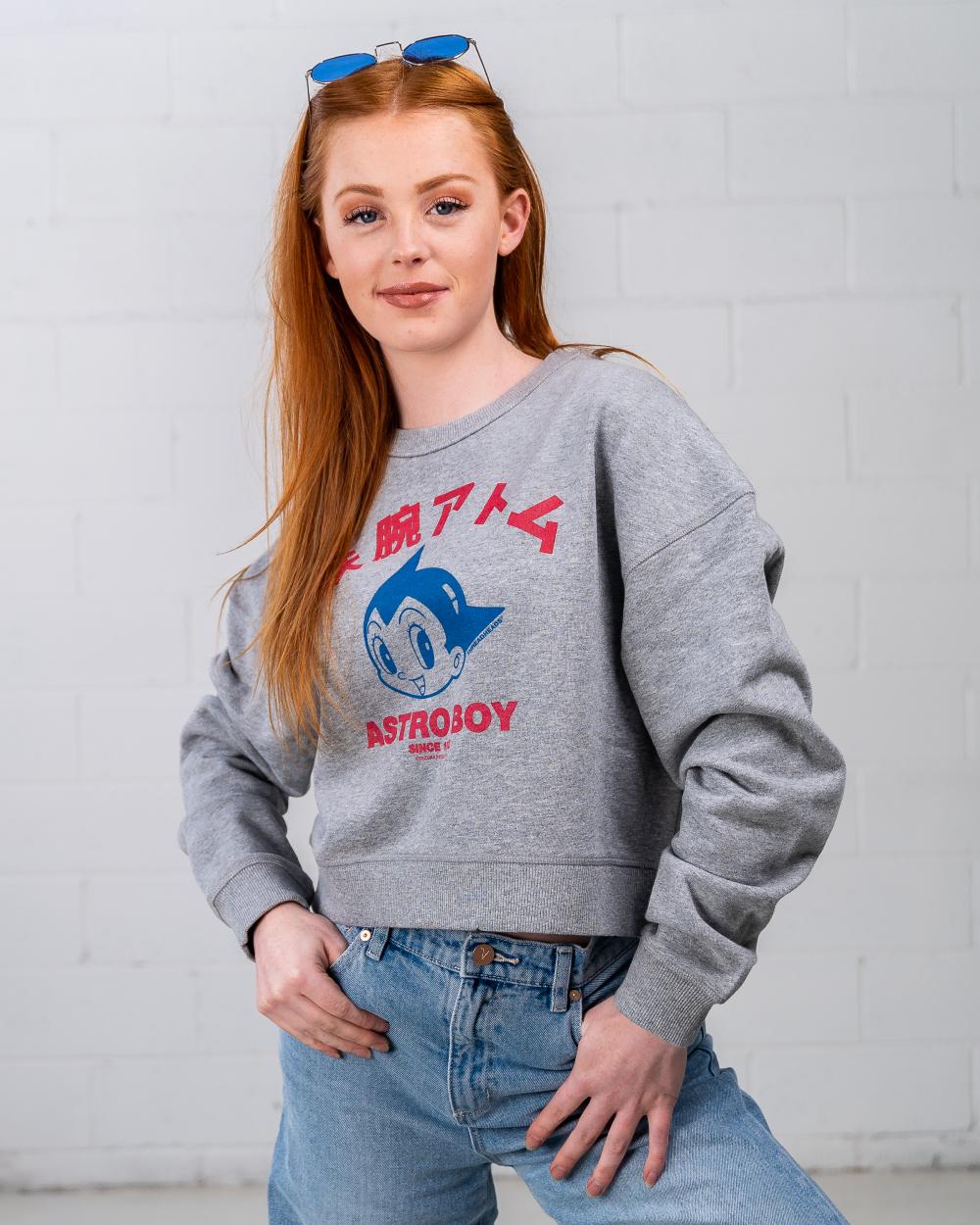 Astro Boy Face Crop Sweater Australia Online #colour_grey