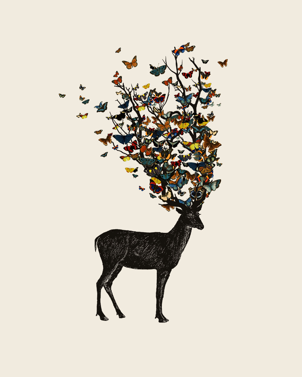 Wild Nature T-Shirt Australia Online