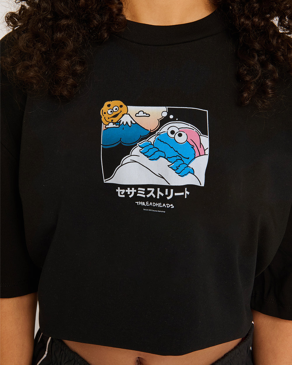 Cookie Monster Fuji Dreaming Oversized Tee | Official Sesame