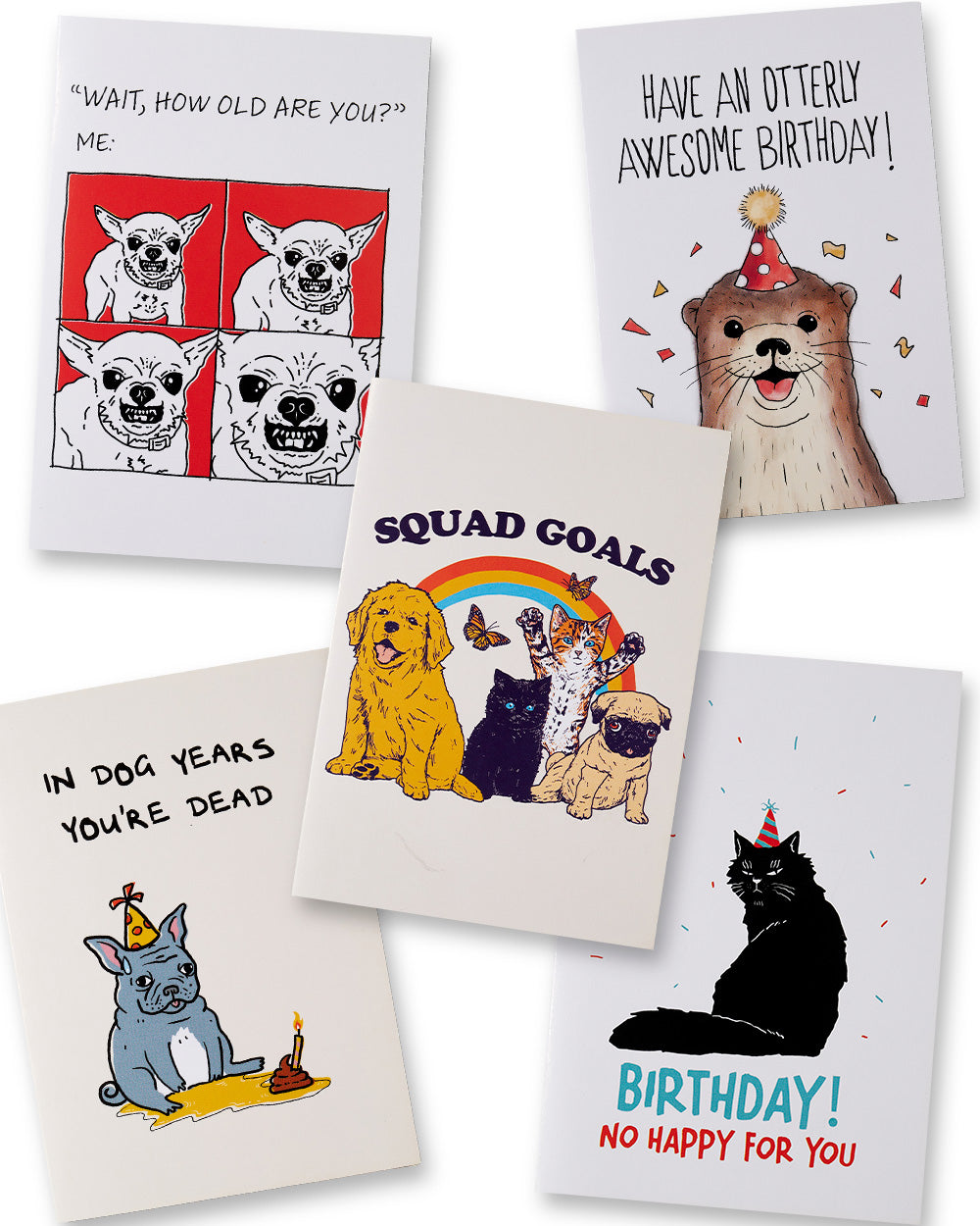 Animal Birthday Greeting Card Bundle