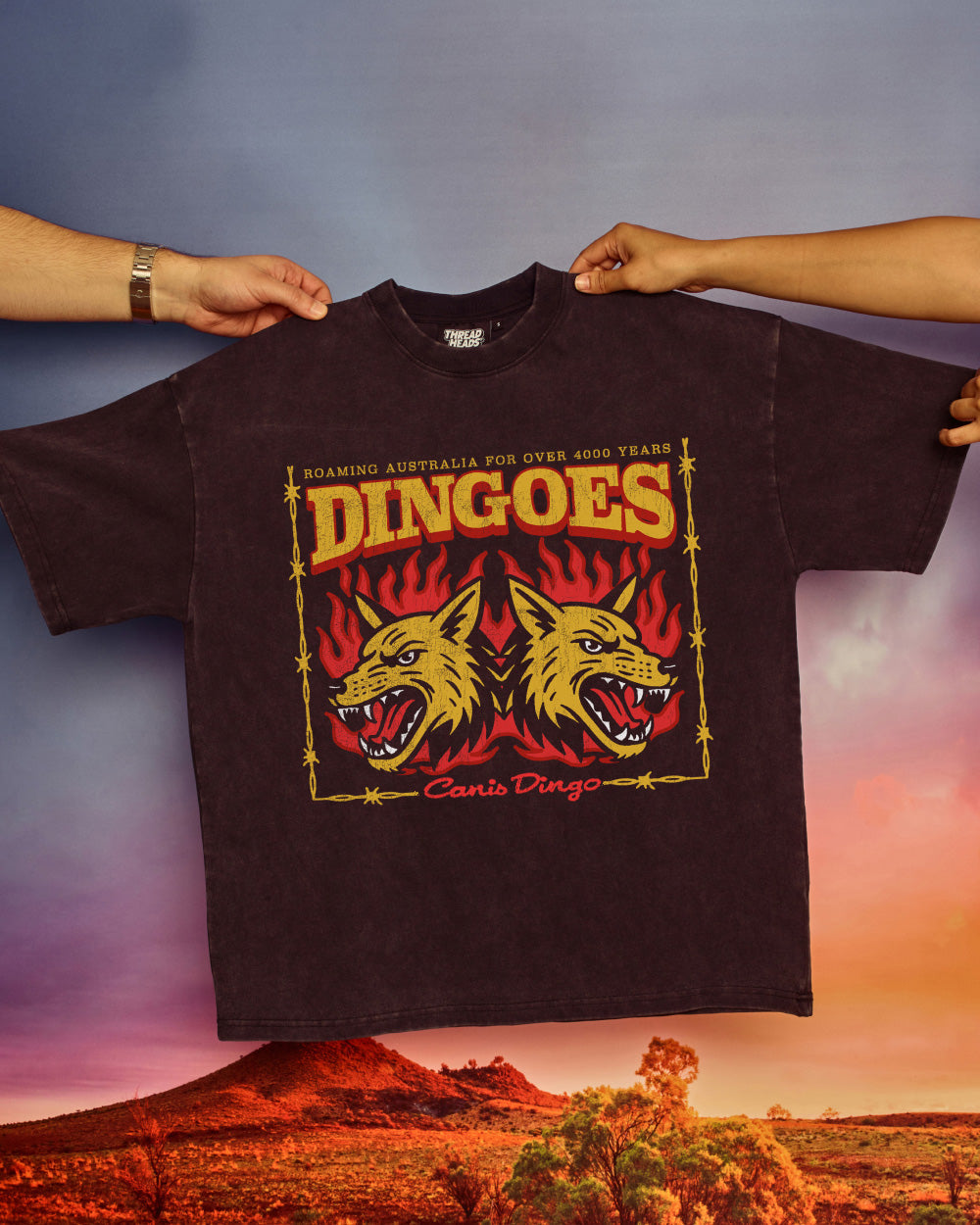 Territory Dingoes Wash Tee