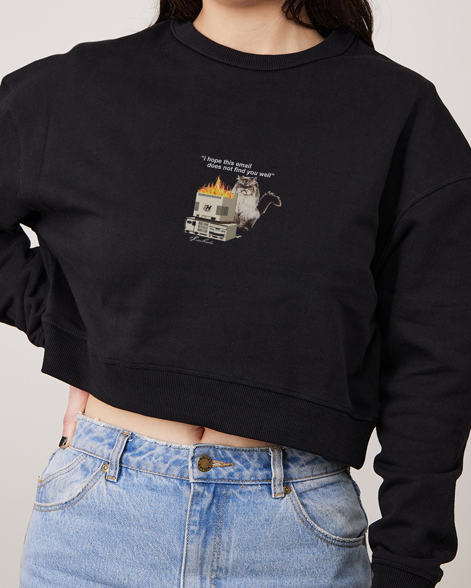 I Hope This Email Crop Jumper Australia Online Black