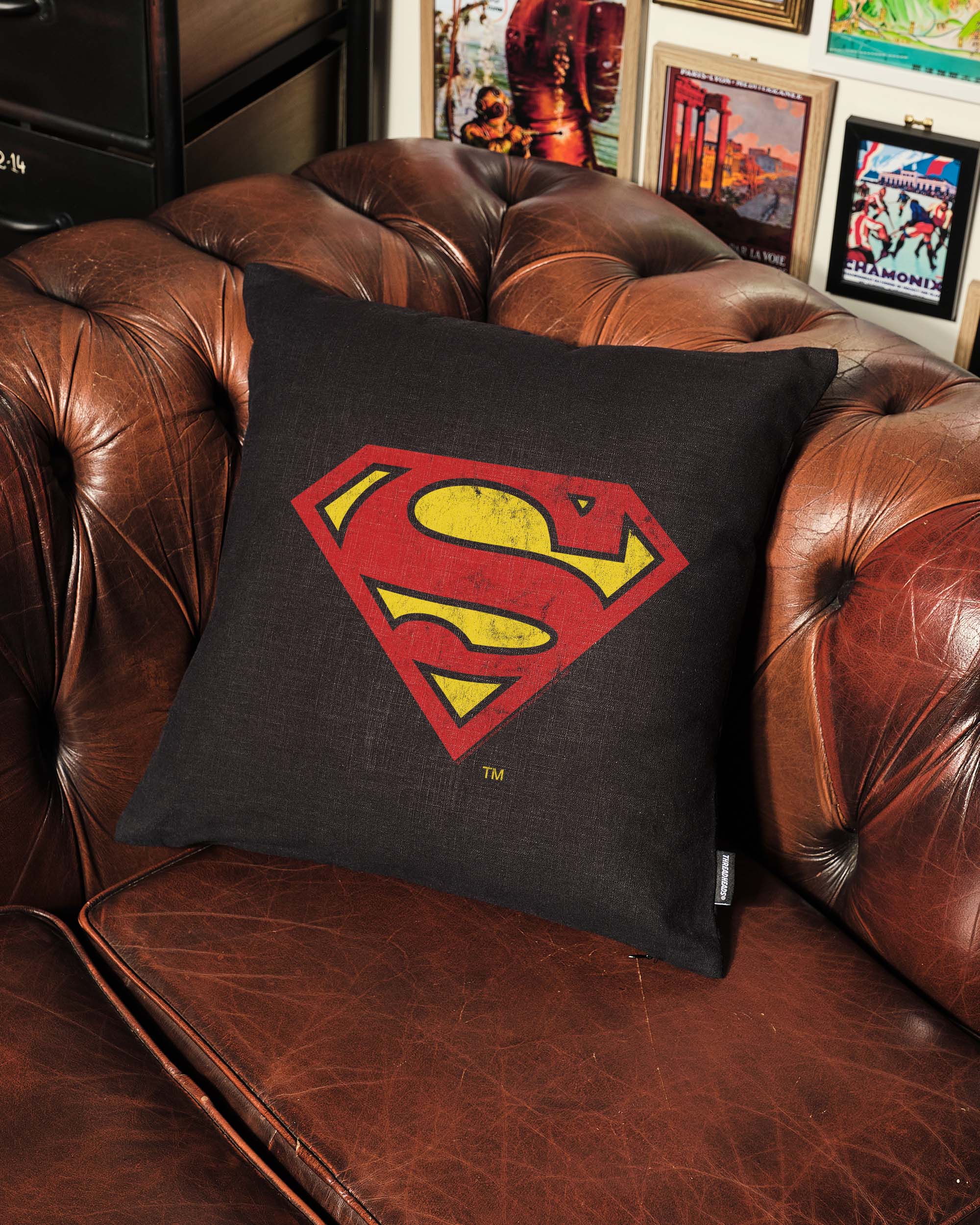 Superman Classic Logo Cushion
