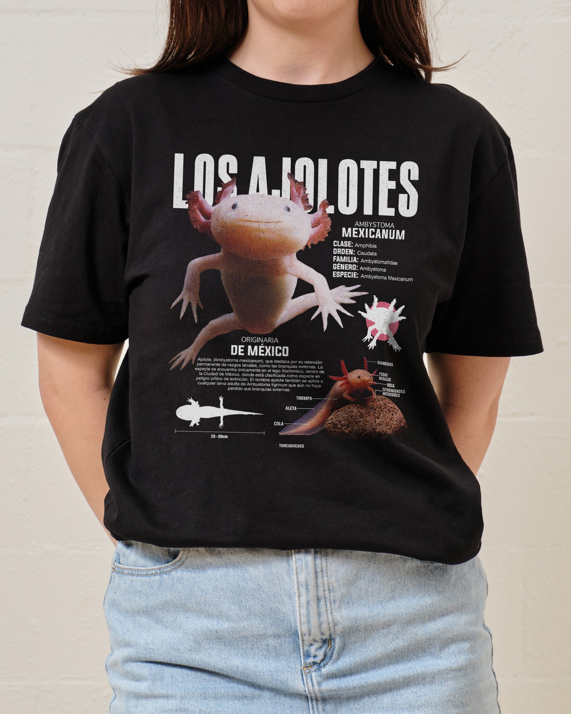 Los Ajolotes T-Shirt Australia Online Black