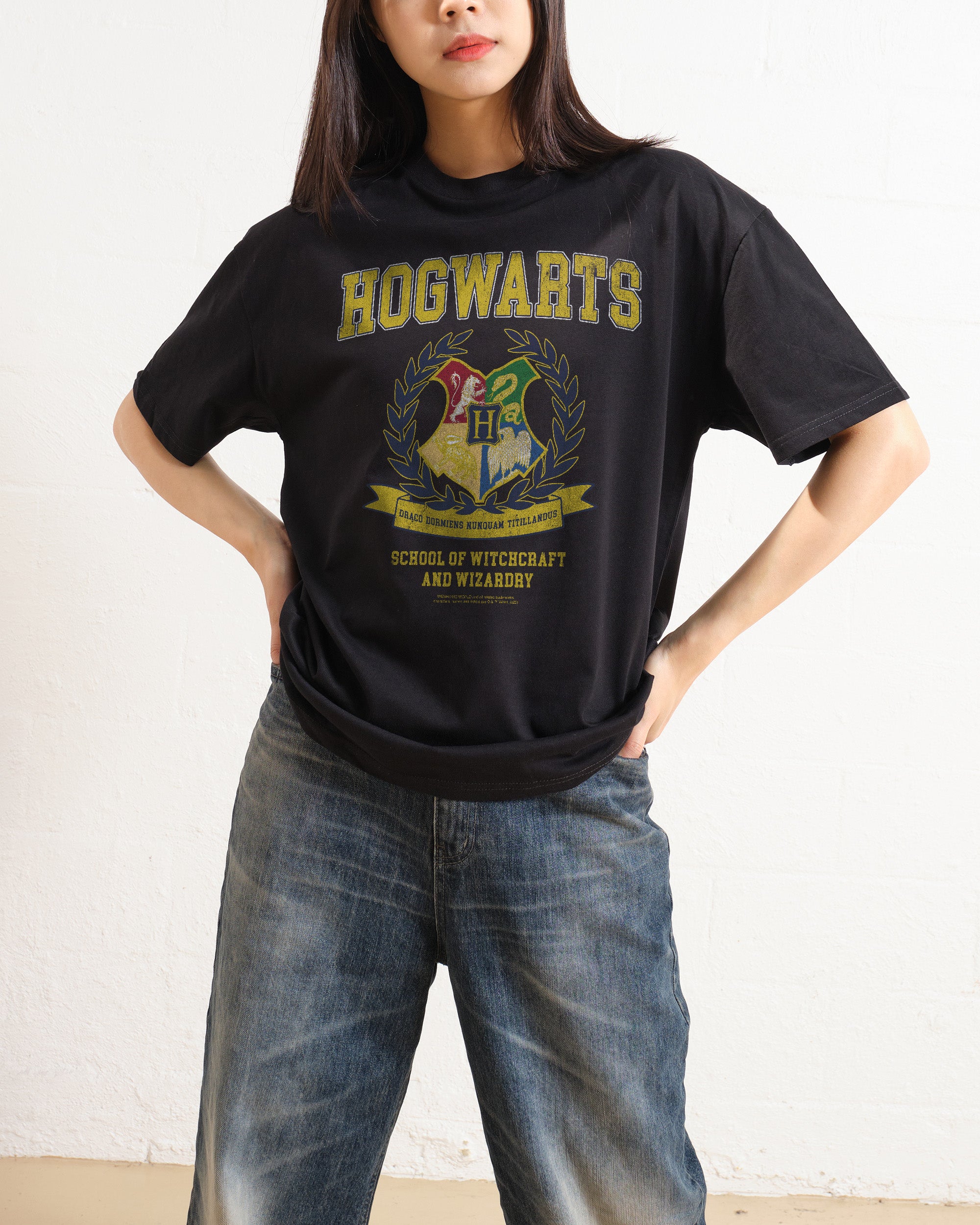 Hogwarts College T-Shirt