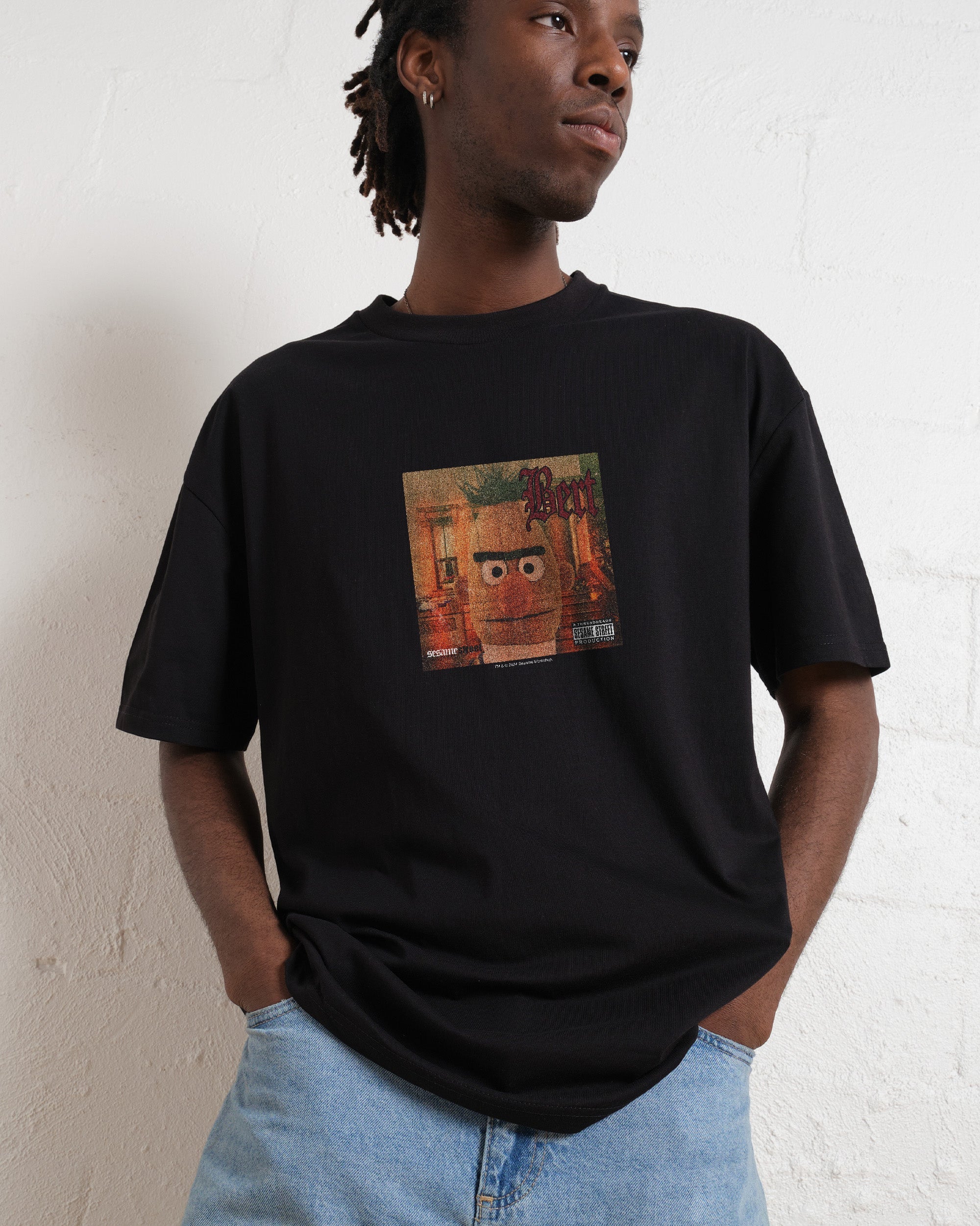 Sesame Street Album 3 Tee Bundle