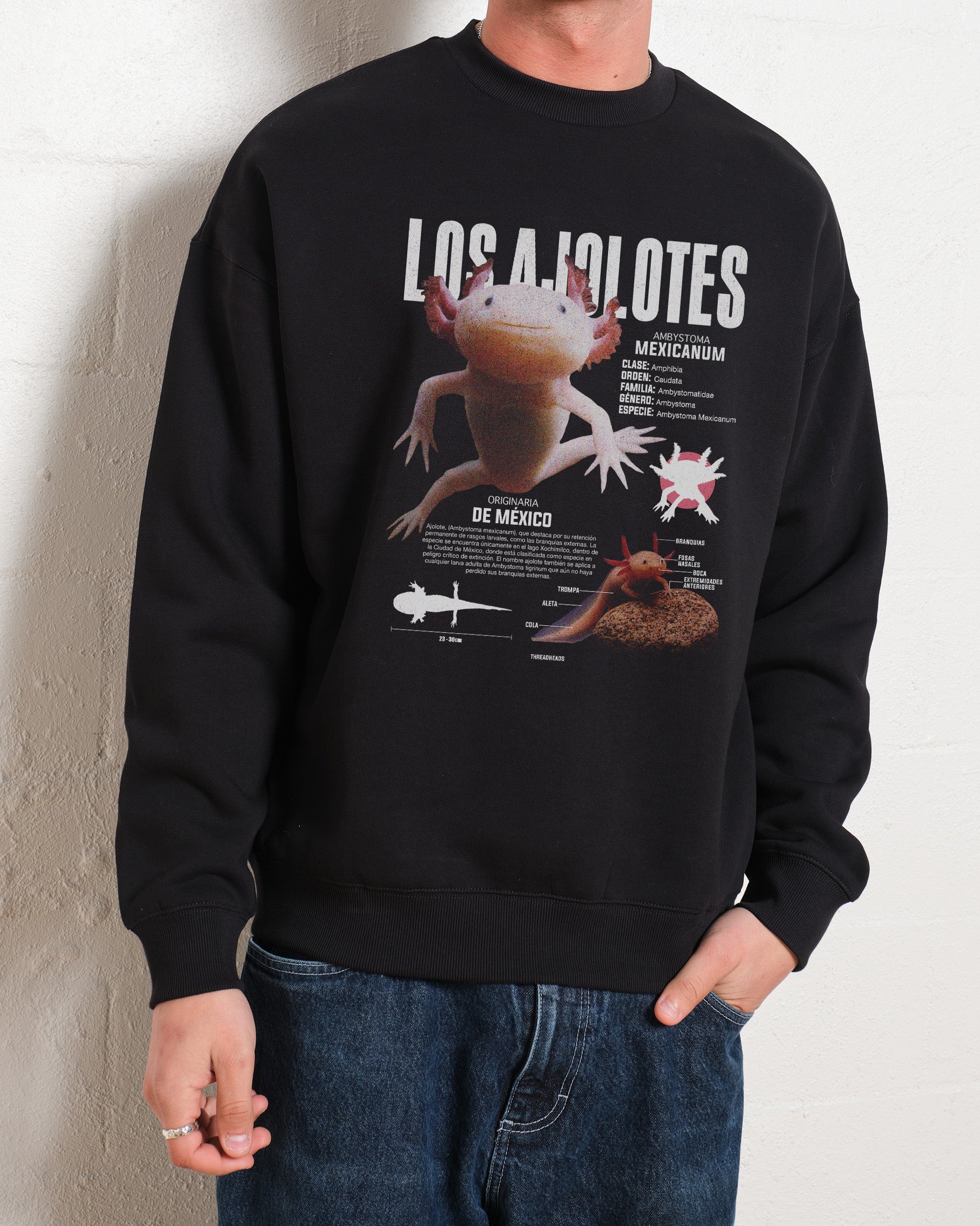 Los Ajolotes Sweatshirt Australia Online