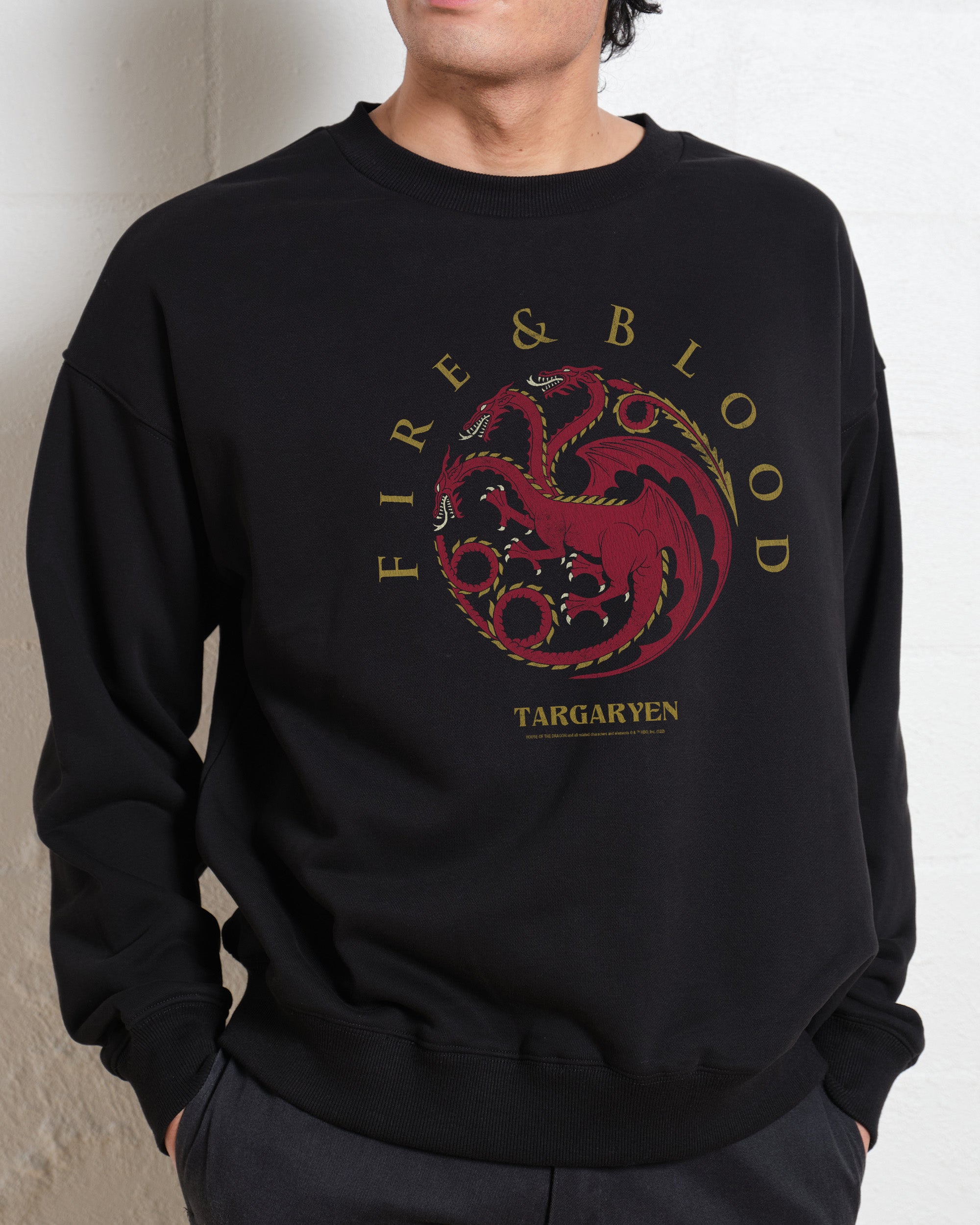 Targaryen sweatshirt on sale