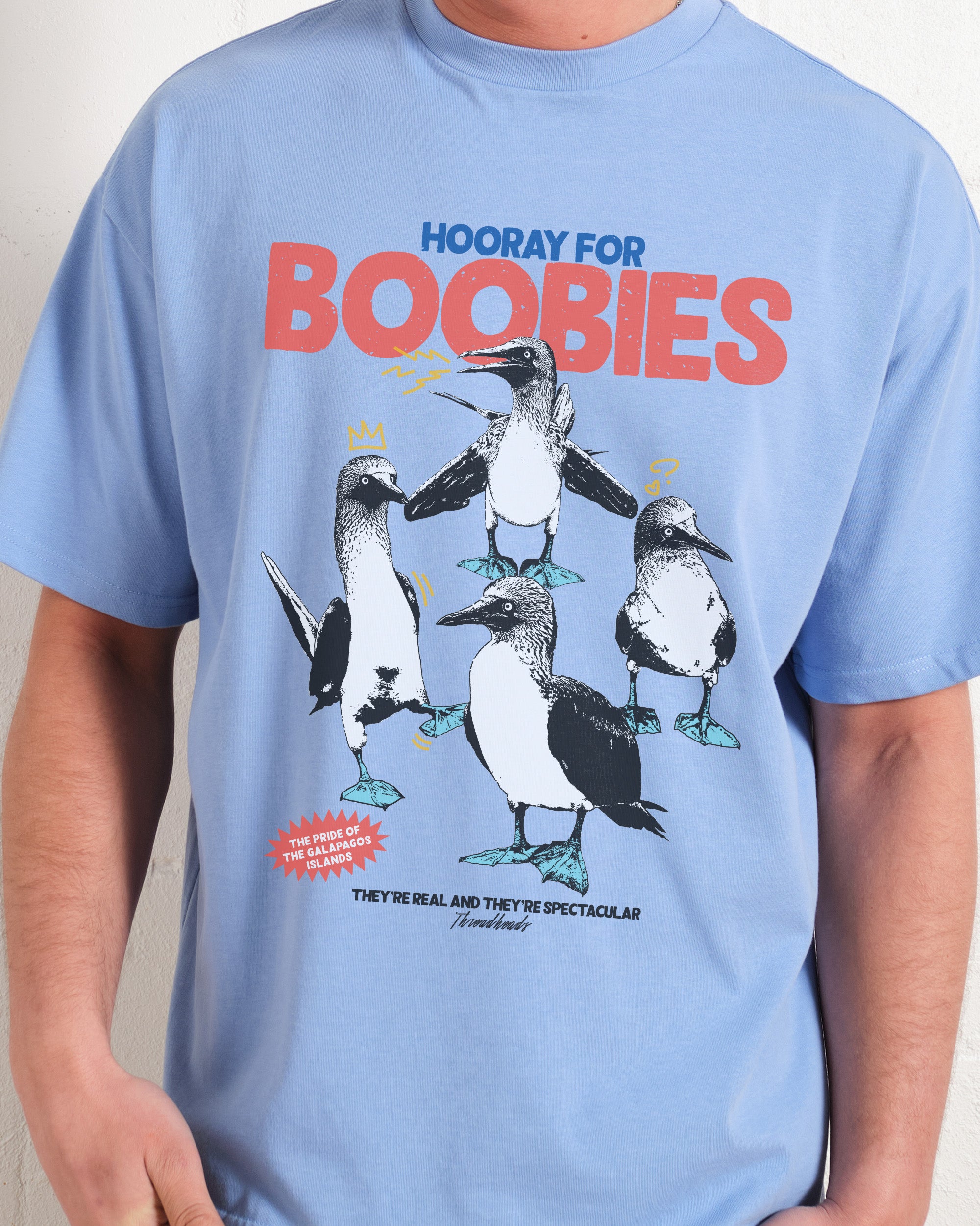 Hooray for Boobies Oversized Tee