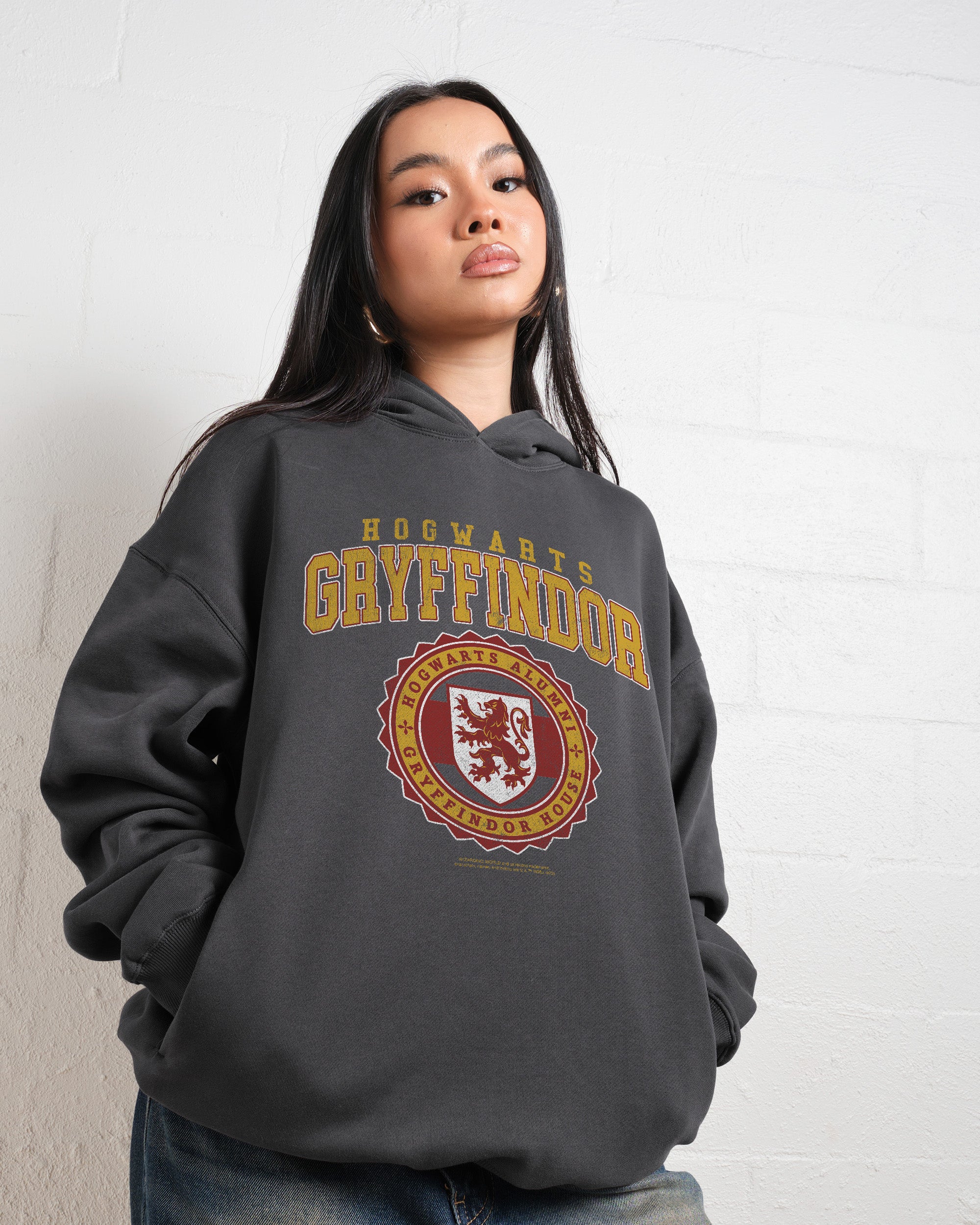 Gryffindor College Hoodie