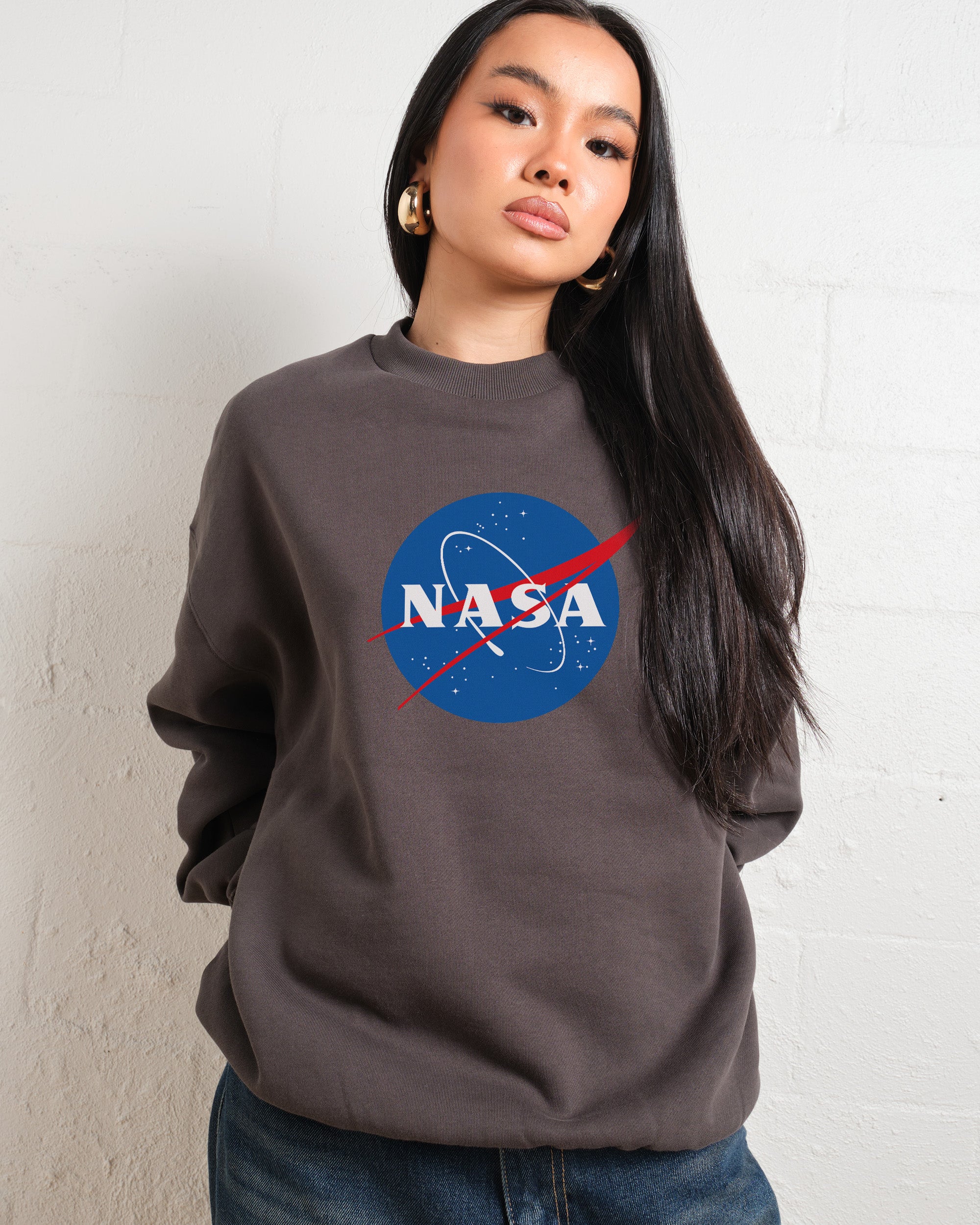 NASA Meatball Sweatshirt Australia Online