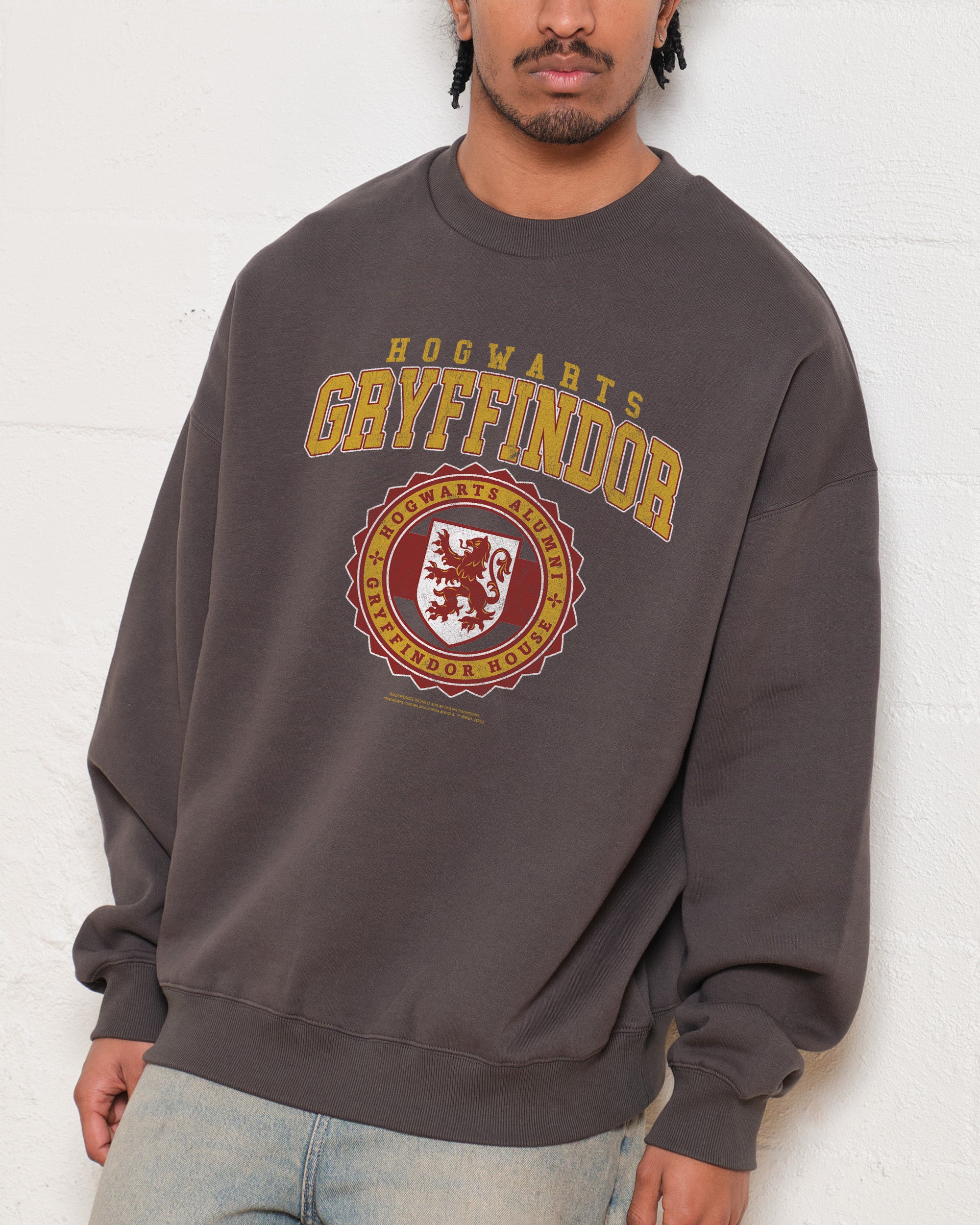 Gryffindor College Sweatshirt Official Harry Potter Merch Germany