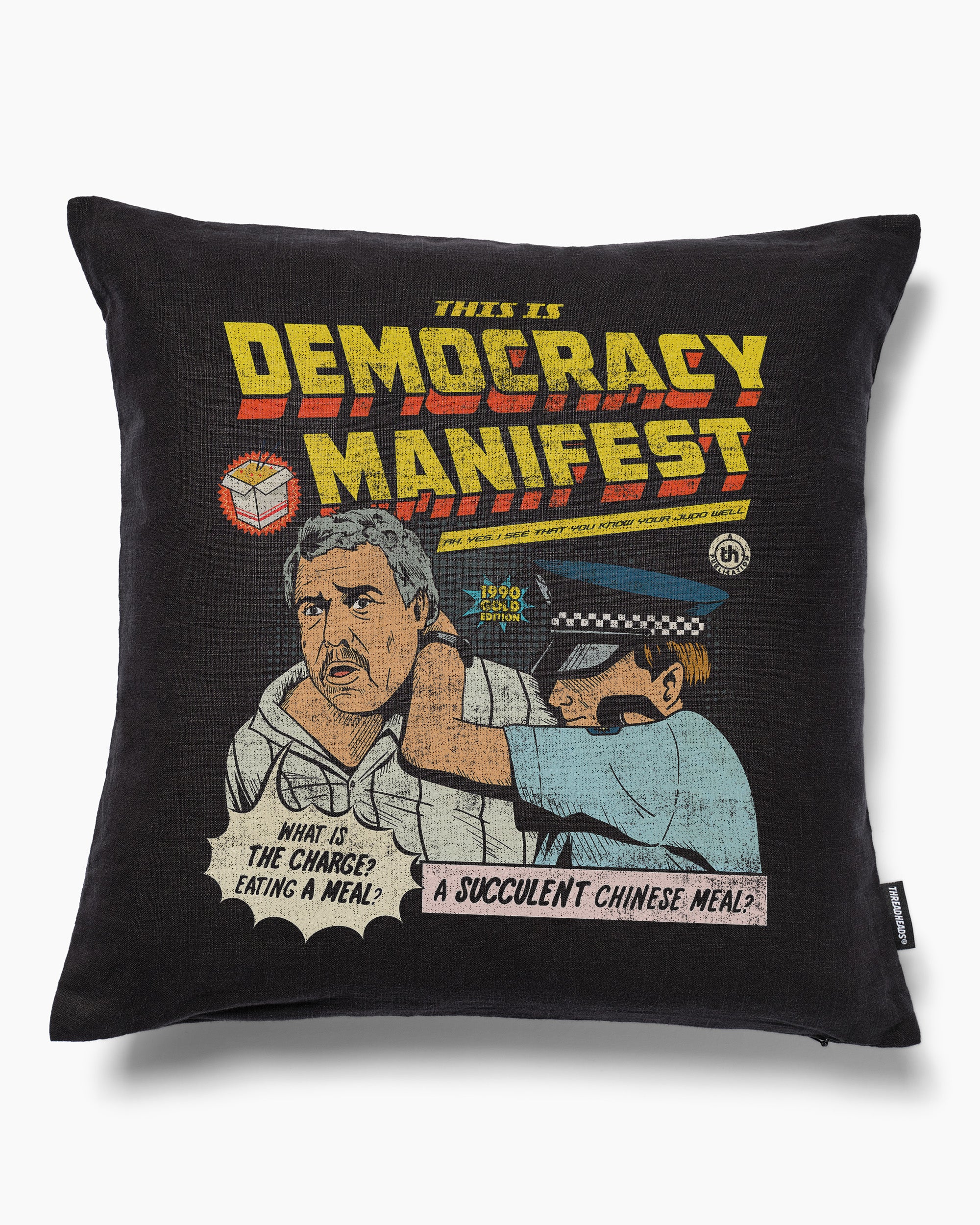 This is Democracy Manifest Cushion