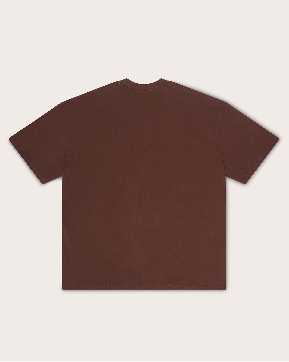 The Great Bugs Escape Oversized Tee