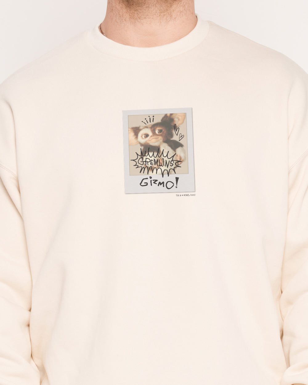 Gizmo Polaroid Sweatshirt Australia Threadheads Online