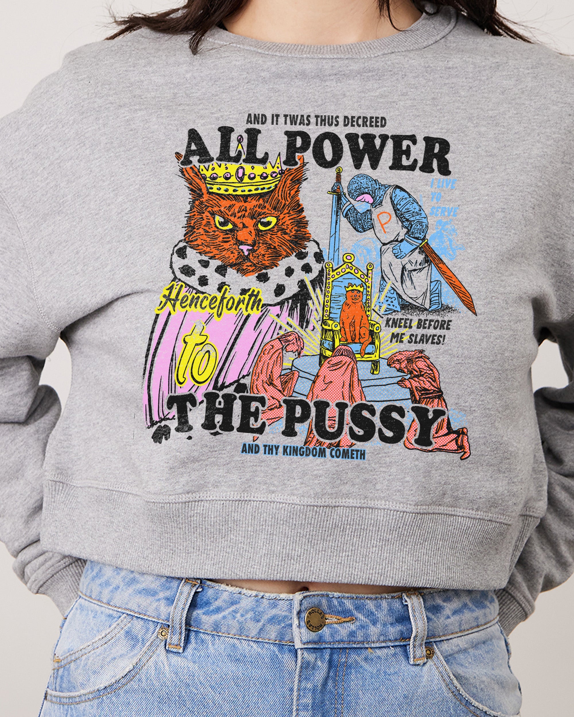 All Power To The Pussy Crop Jumper Australia Online Grey