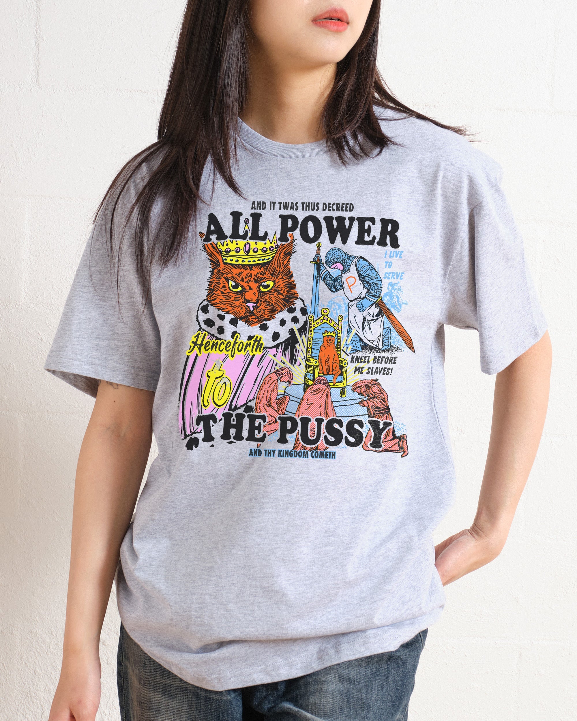 All Power To The Pussy T-Shirt Australia Online Grey