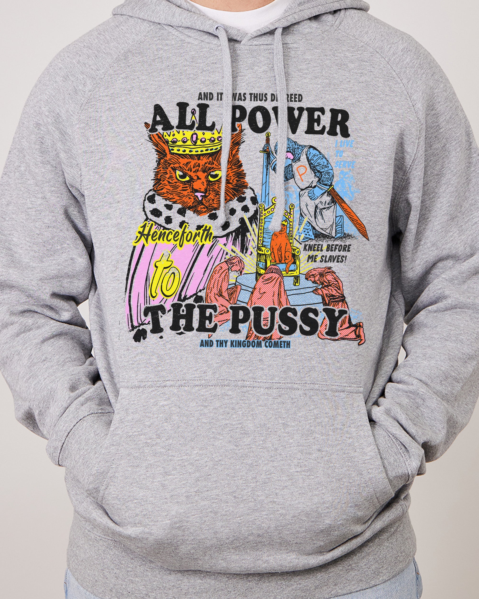 All Power To The Pussy Hoodie Australia Online Grey