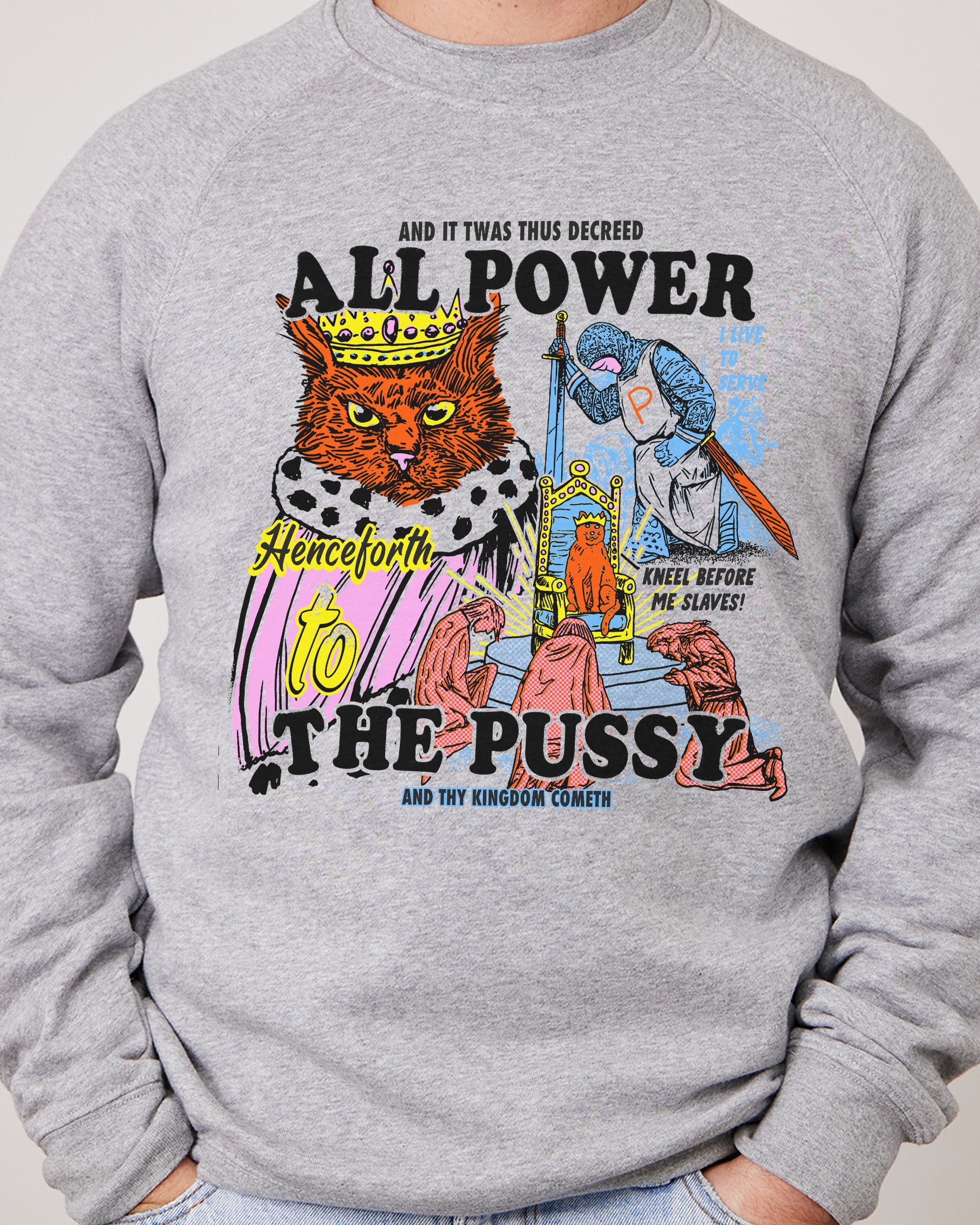 All Power To The Pussy Jumper Australia Online Grey