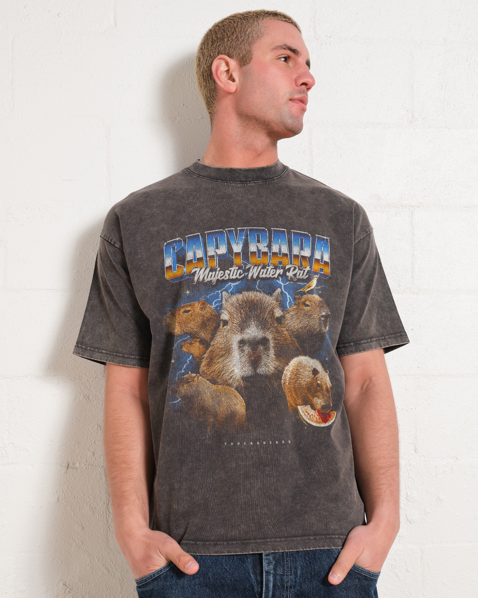 Capybara Water Rat Wash Tee Australia Online Grey Stone