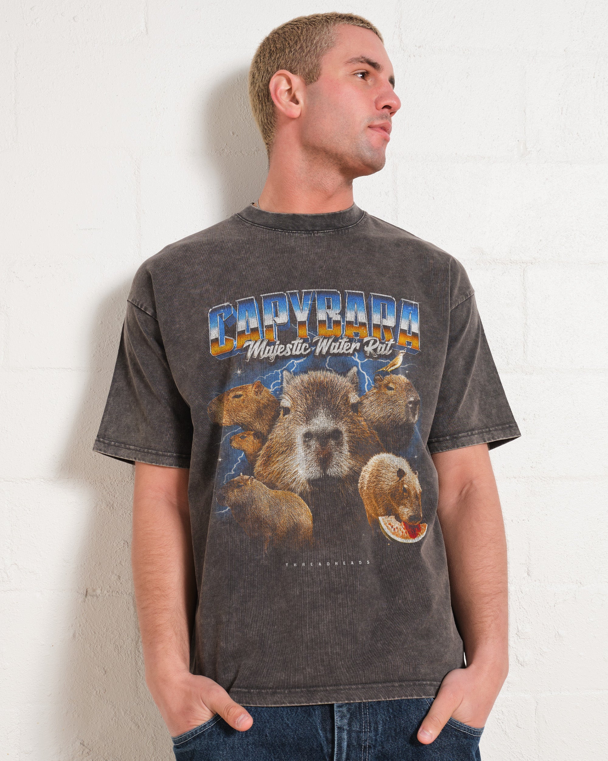 Capybara Water Rat Wash Tee Australia Online Grey Stone