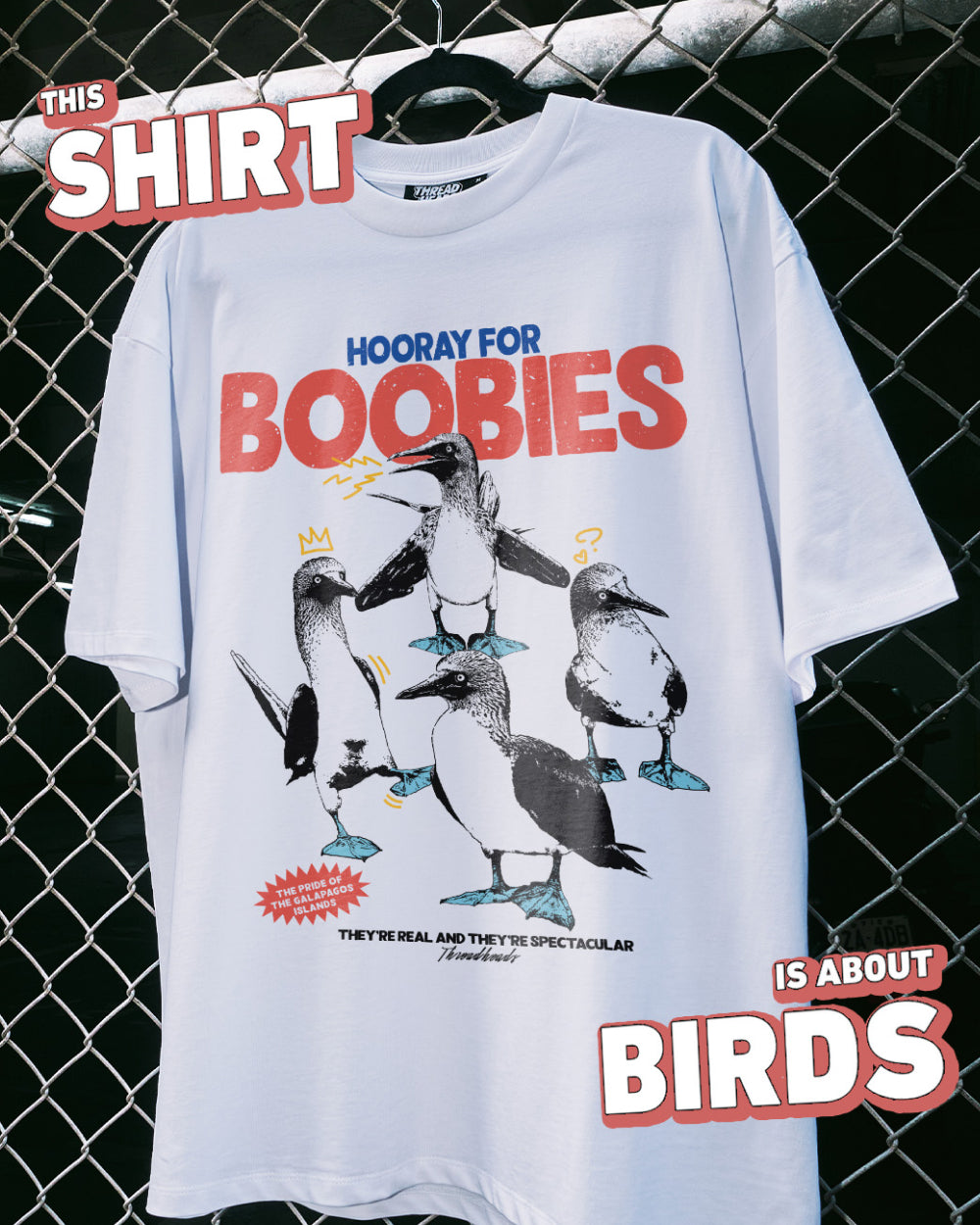 Hooray for Boobies T-Shirt