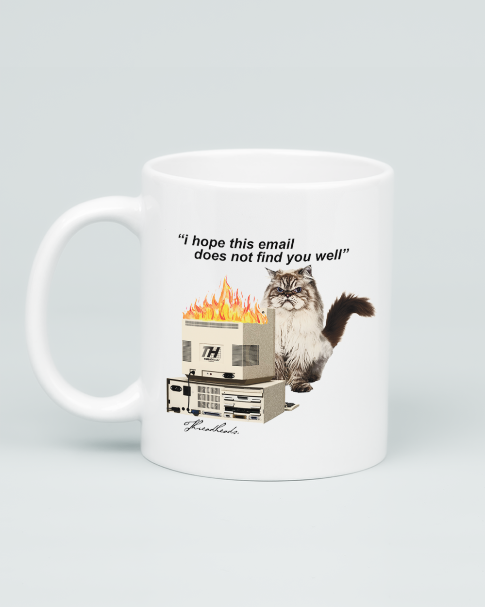 I Hope This Email Mug