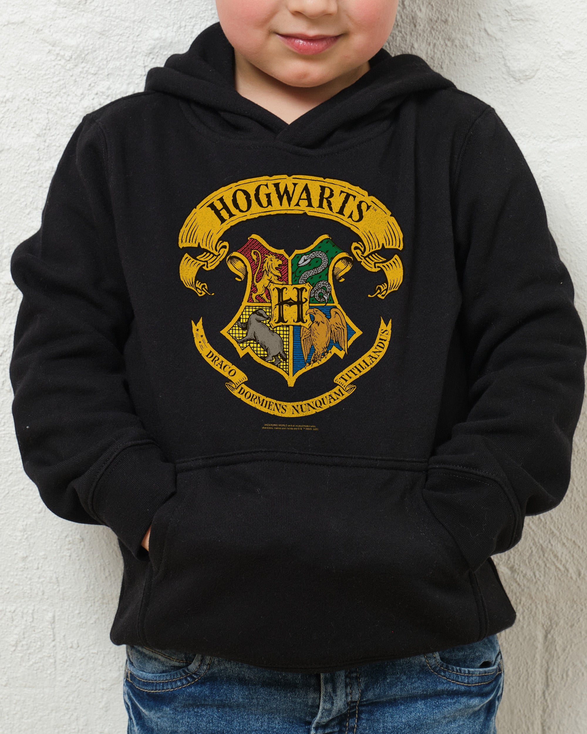 Hogwarts Crest Kids Hoodie