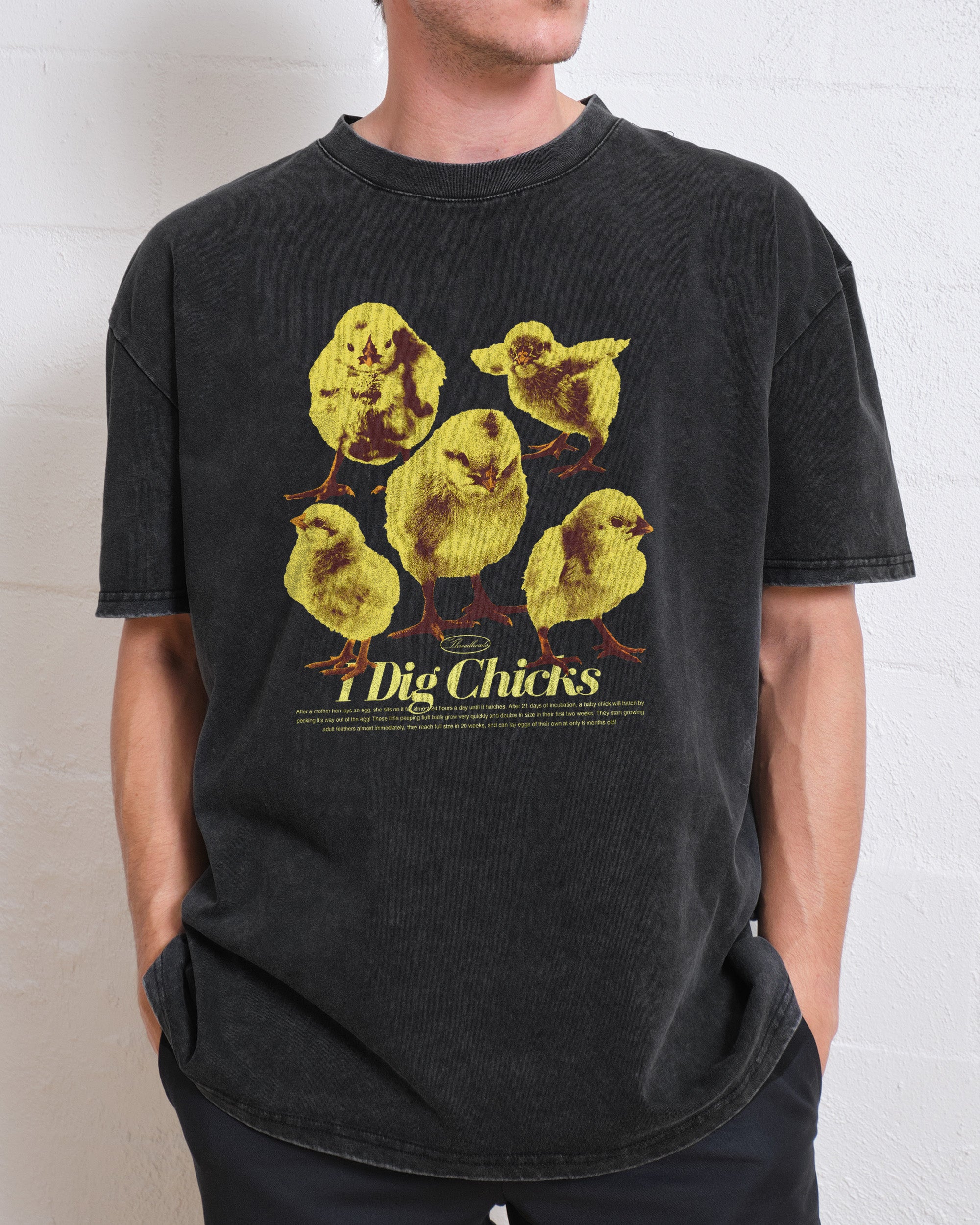 I Dig Chicks Wash Tee Australia Online